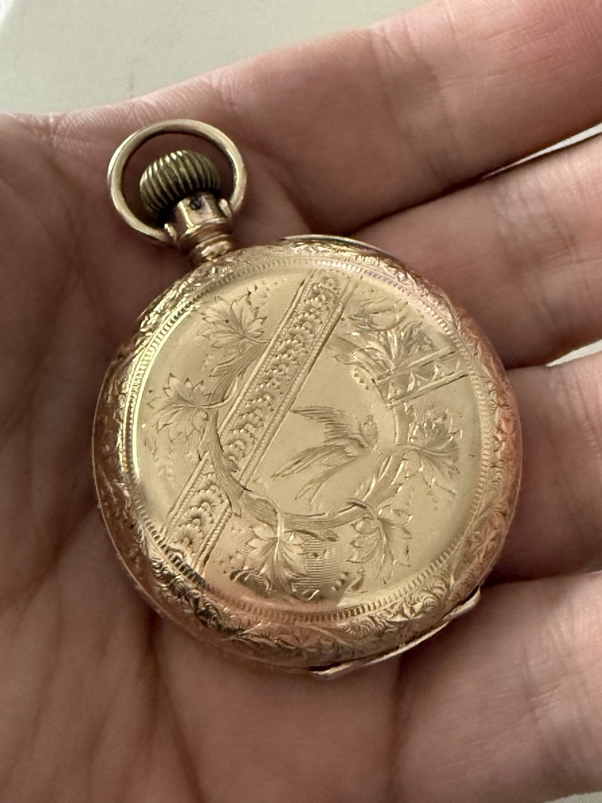 Elgin 6s Full Hunter Ladd Anchor Gold Filled Pocket Watch