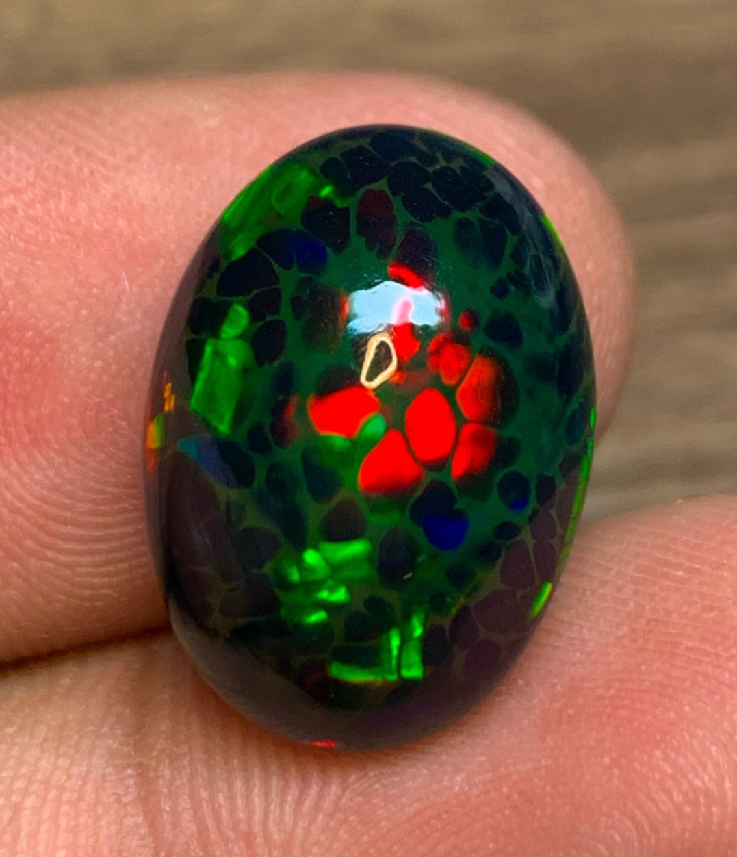 Ethiopian Honeycomb Black Opal 13x18mm Oval Cabochon 8.6crt Gemstone for Jewelry