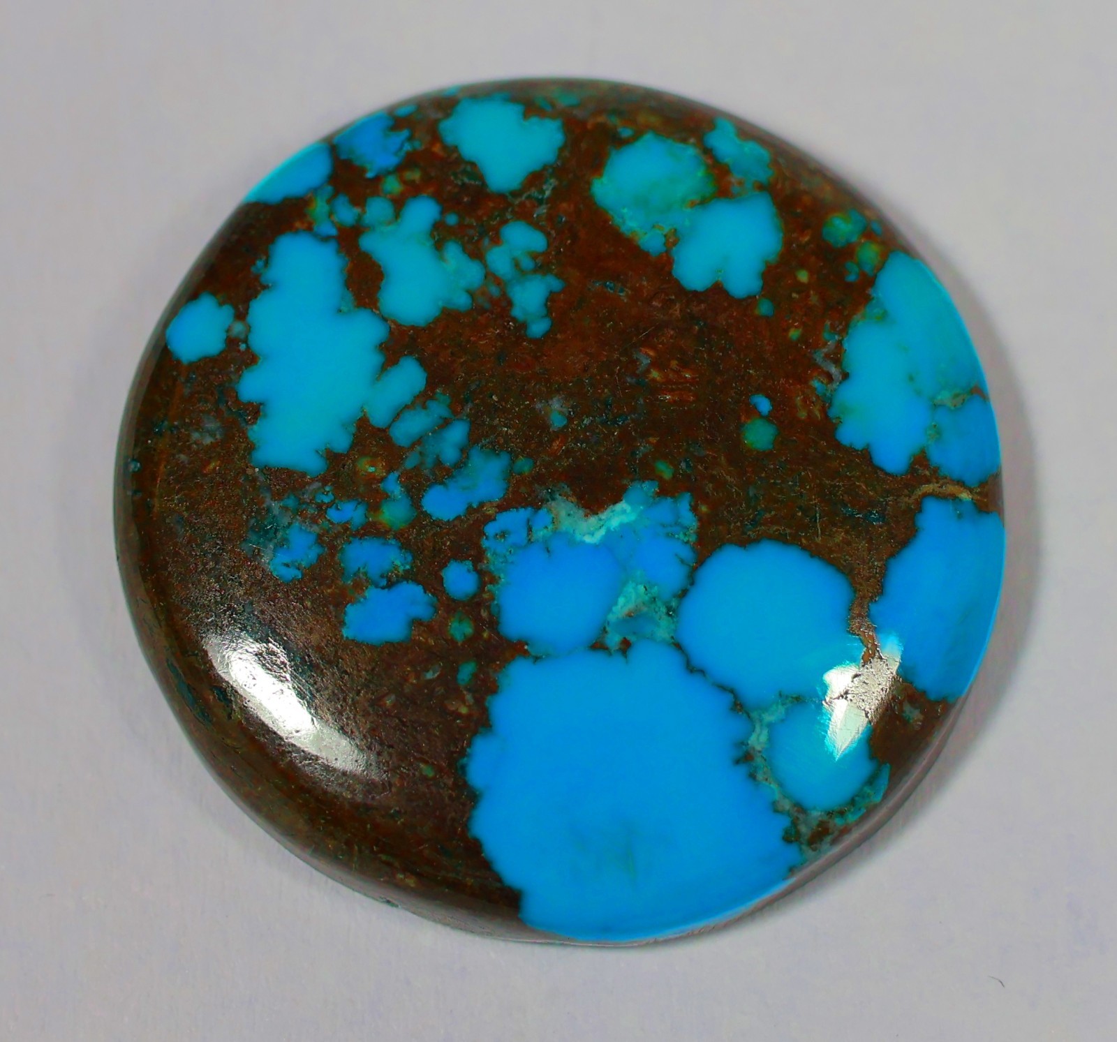 49 Ct 6X29X29 mm Natural Golden Hill Turquoise Round Cabochon Gemstone KO-124