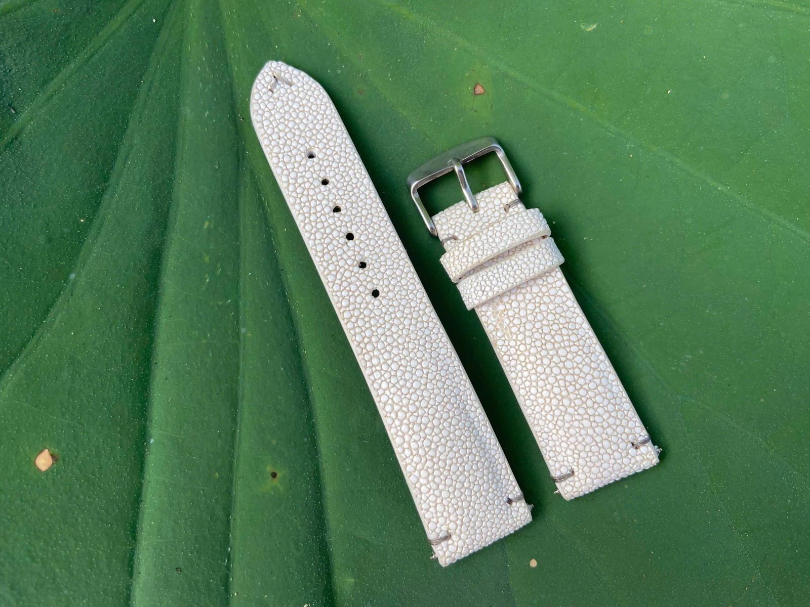 White Stingray Leather Watch Strap Band, Size 18mm 19mm 20mm 21mm 22mm 24mm 26mm