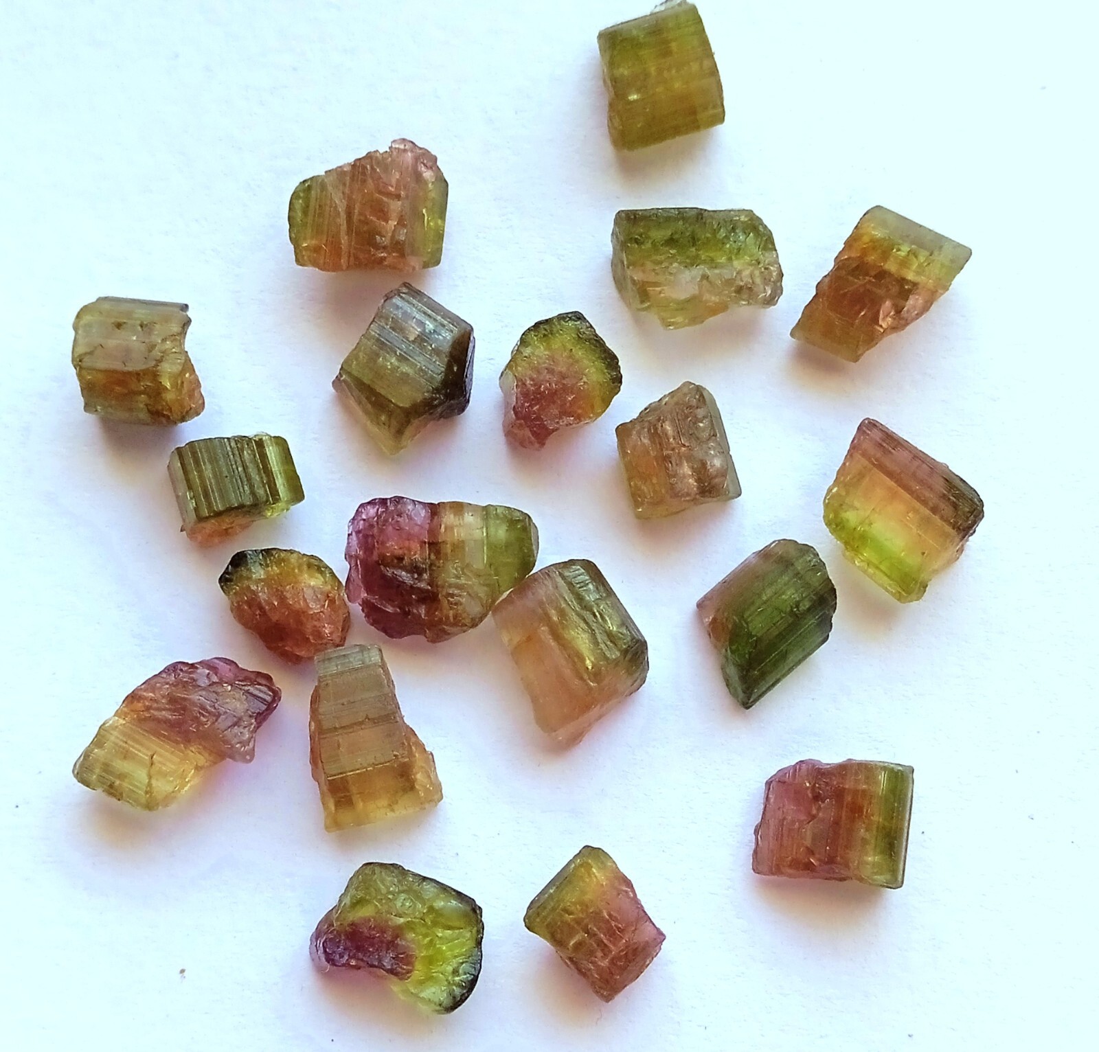 39 Carat Natural Watermelon Bi-Unique Amazing Color Tourmaline Rough 19 Pcs Lot