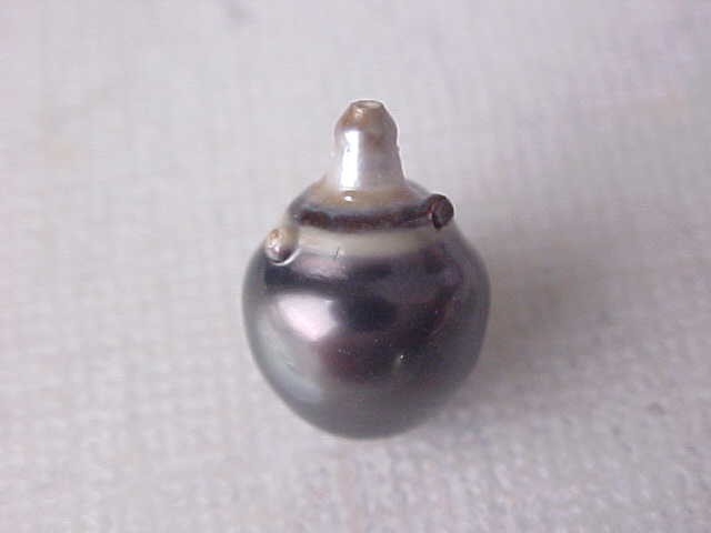 10.2MM X 14MM AAA GENUINE TAHITIAN PEARL HALFDRILLED #243