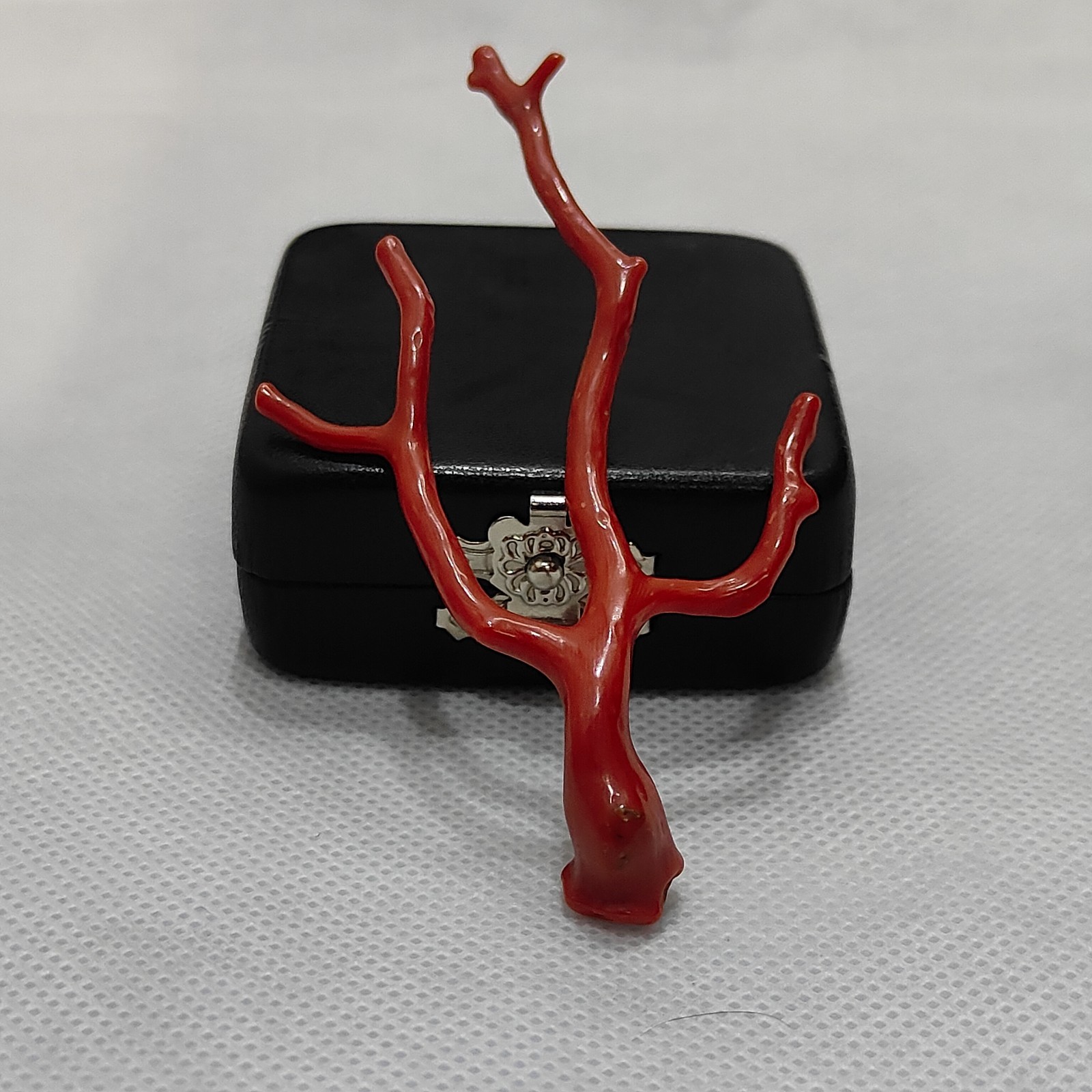 Top Quality Red Coral Tree Branch Gemstone-Mediterranean Red Coral Polish Branch