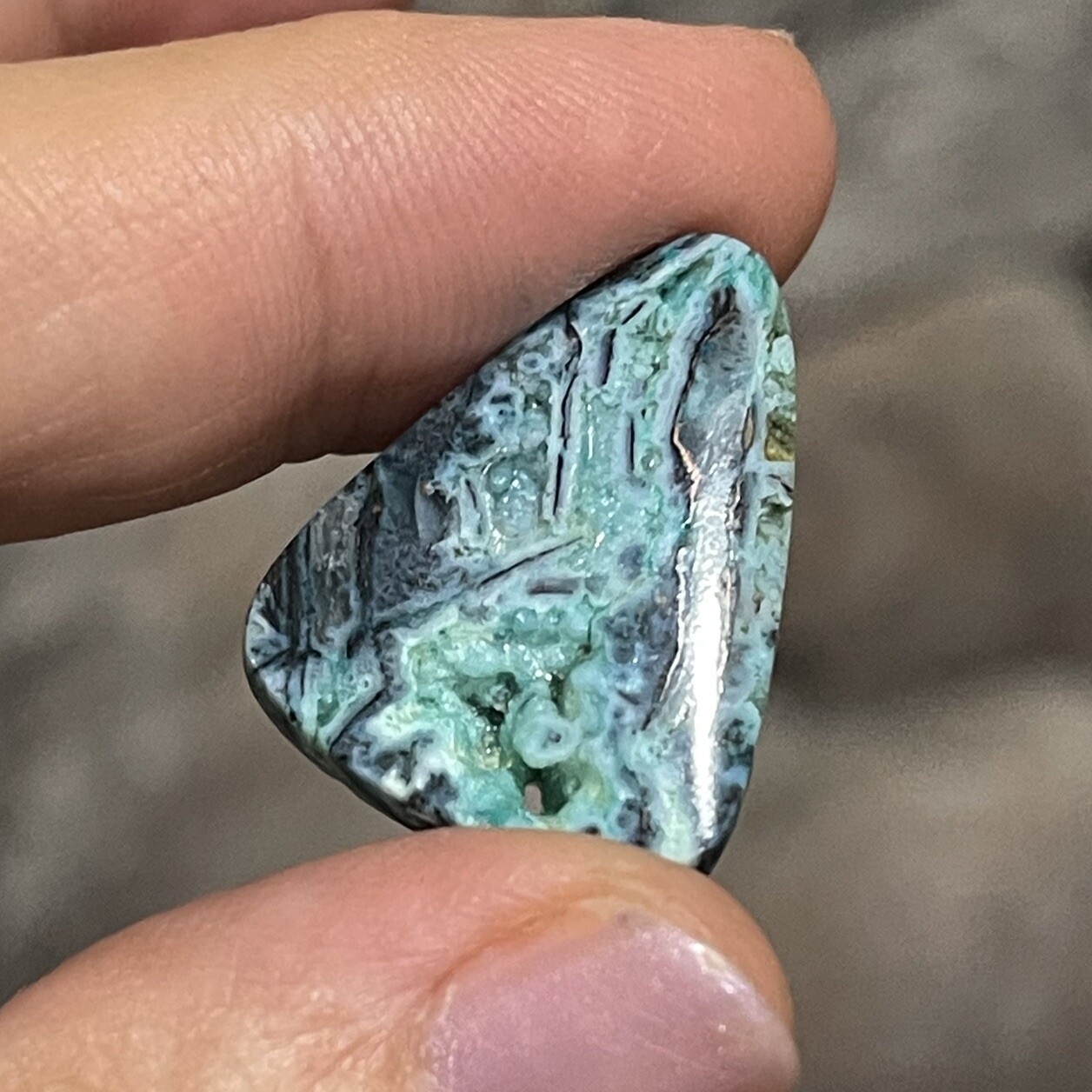 13.7ct 25×19.4×4.4mm Blue Opalized Wood Chrysocolla Triangle Cabochon Stone