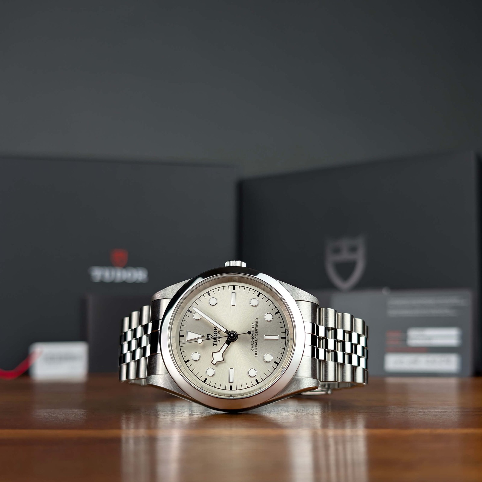 2024 Complete Set Silver Dial Tudor Black Bay 41 79680