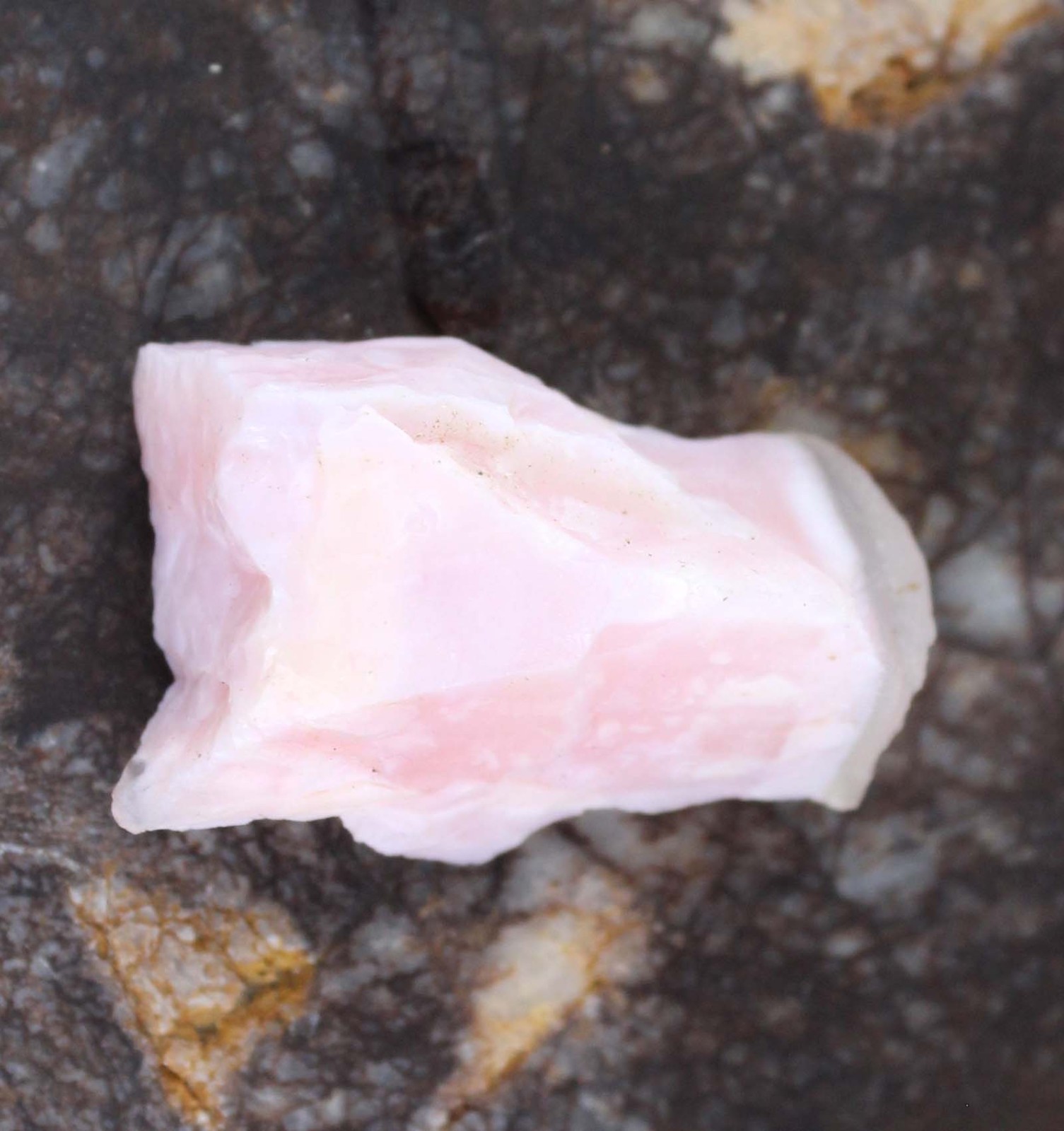 Peru Pink Opal 40.55 Ct Natural Gems Certified Rough T33110 Collection Specimen