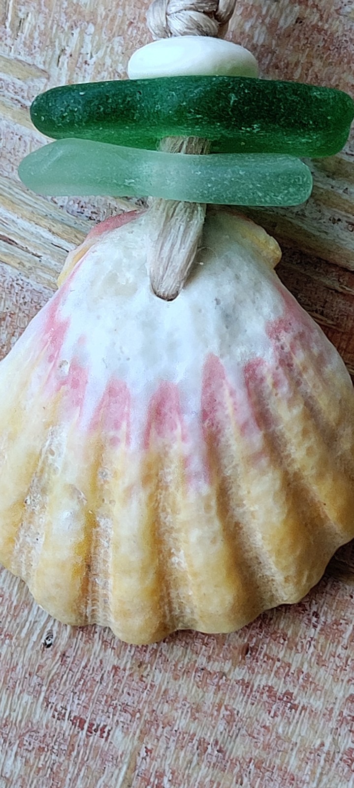 Sunrise Shell & Sea Glass Necklace Braid Beach Aloha Gift Puka Pecten Langfordi