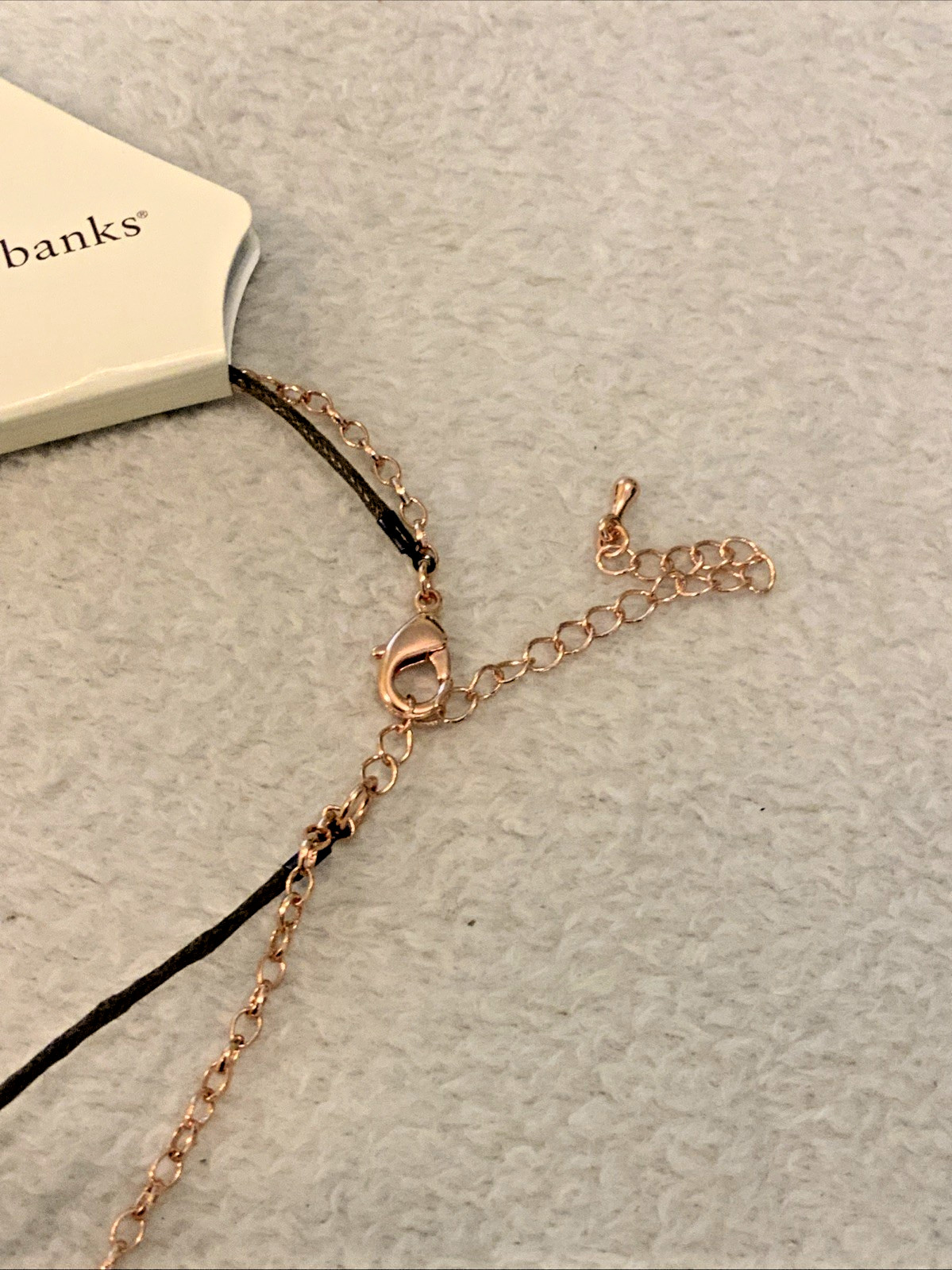 Christopher & Banks Brown Rose Gold Necklace NWT