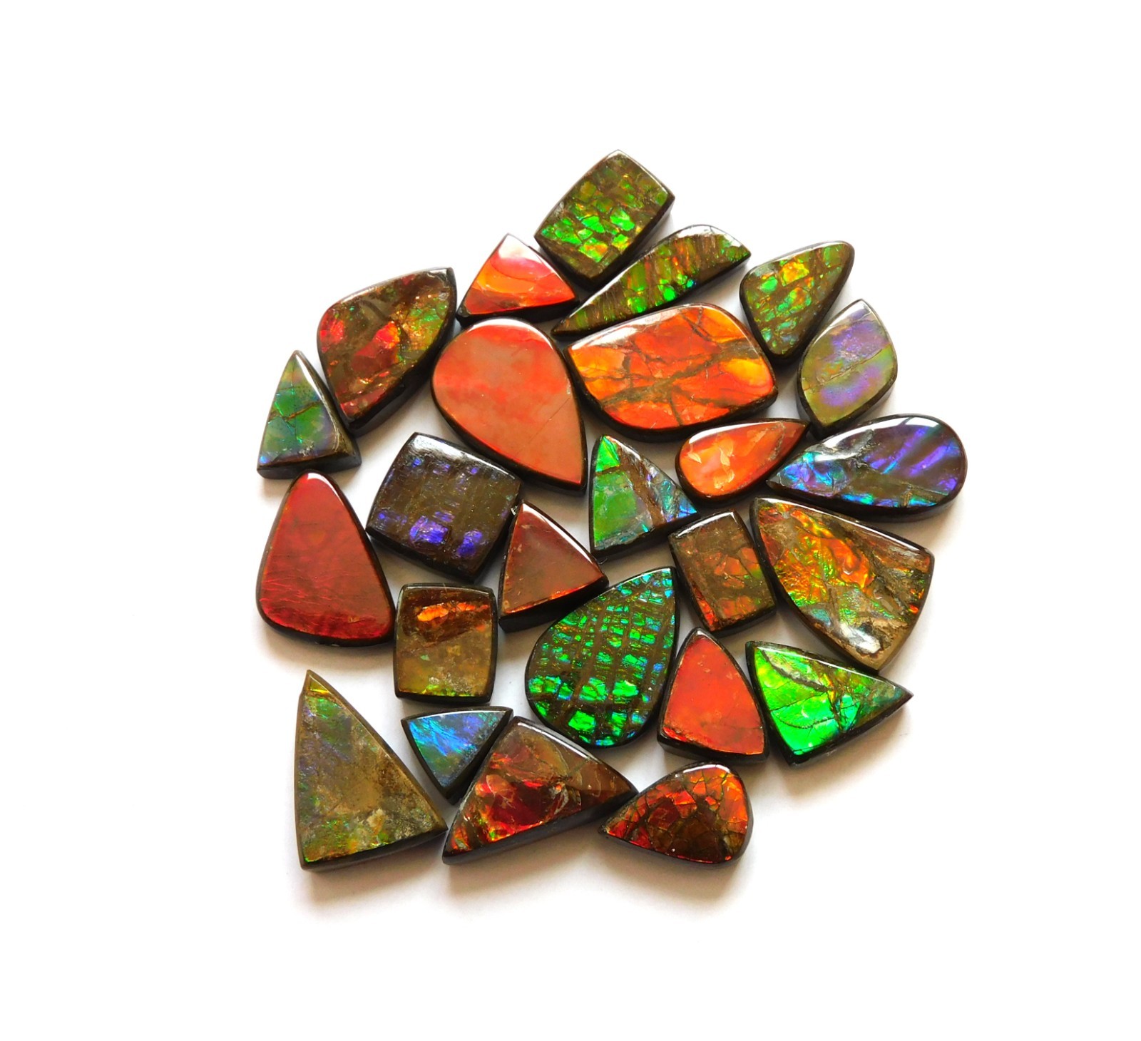 114.40 Cts Natural Ammolite 25 Pcs Lot Loose Cabochon Gemstone CN03