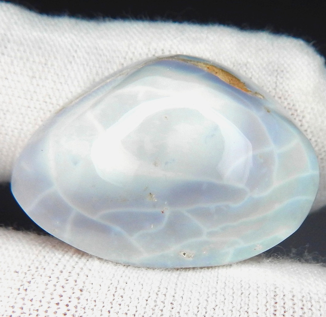 RARE 25.5ct Violet Blue Opal Fossil Clam Shell Natural Mined Unheated Australia