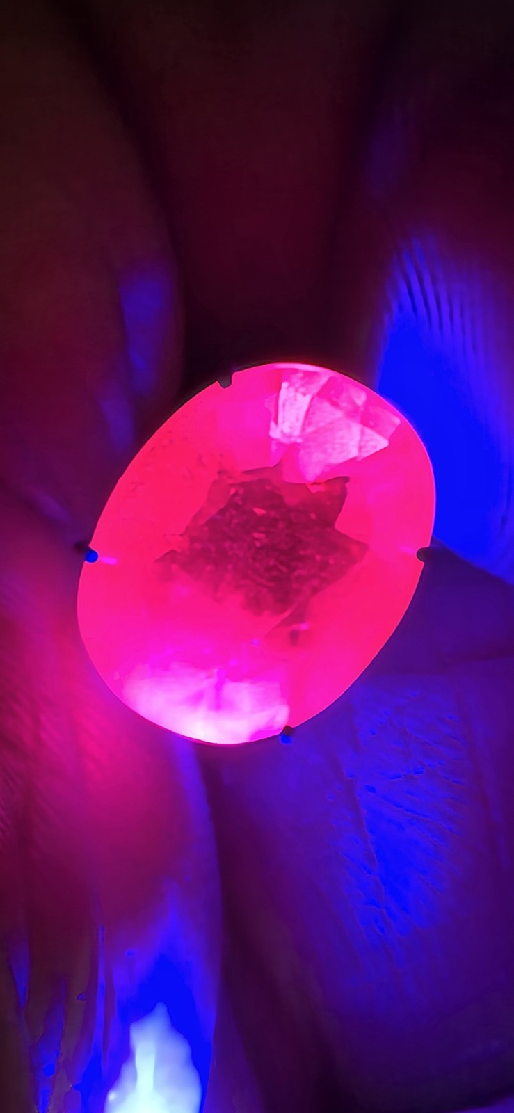 7.00ct Natural Ruby – Lead Glass Filled (Composite) – Oval Red – 12.8×10mm