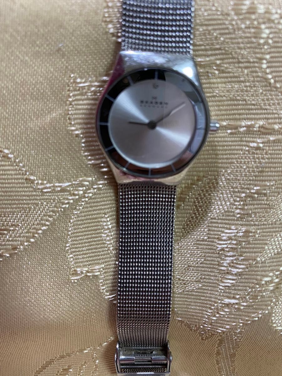 SKAGEN Women’s Silver Mesh Belt Watch