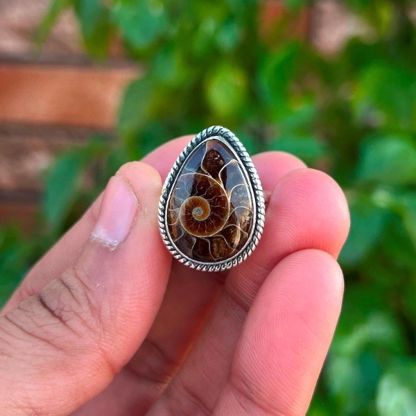 Solid 925 Silver Ammonite Fossil Ring Handmade Statement Ring All Size SR762