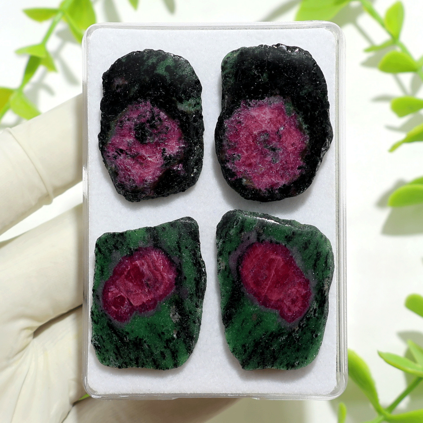 4 PC~ 2 Pairs Natural Ruby In Zoisite 32mm-35mm Matching Slices Gemstones Parcel