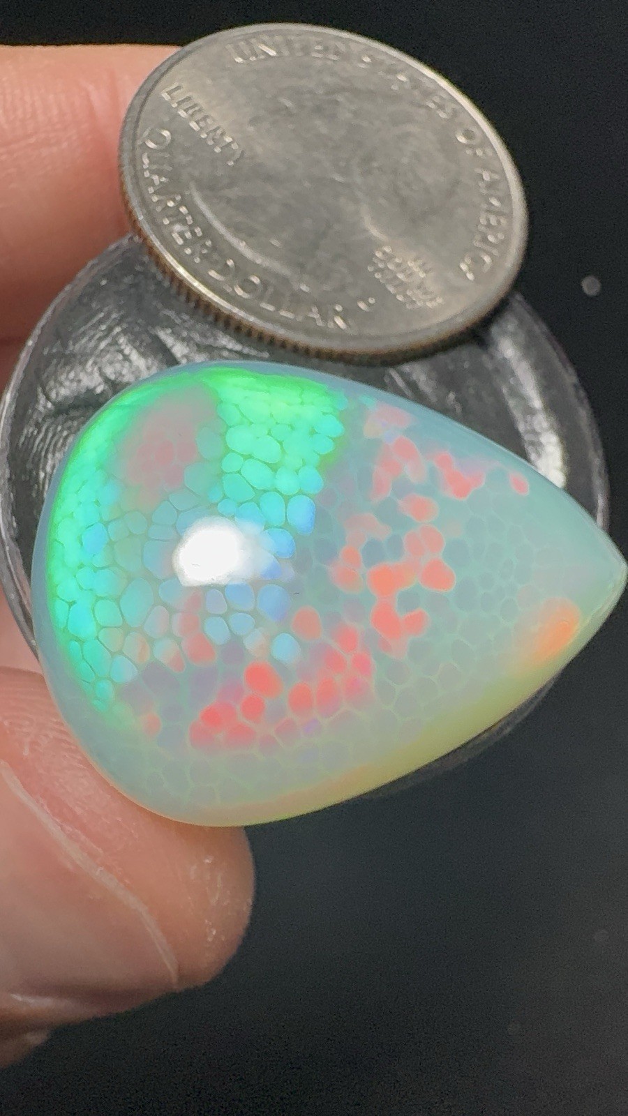 Ethiopian Opal with Honeycomb 30.90 carats