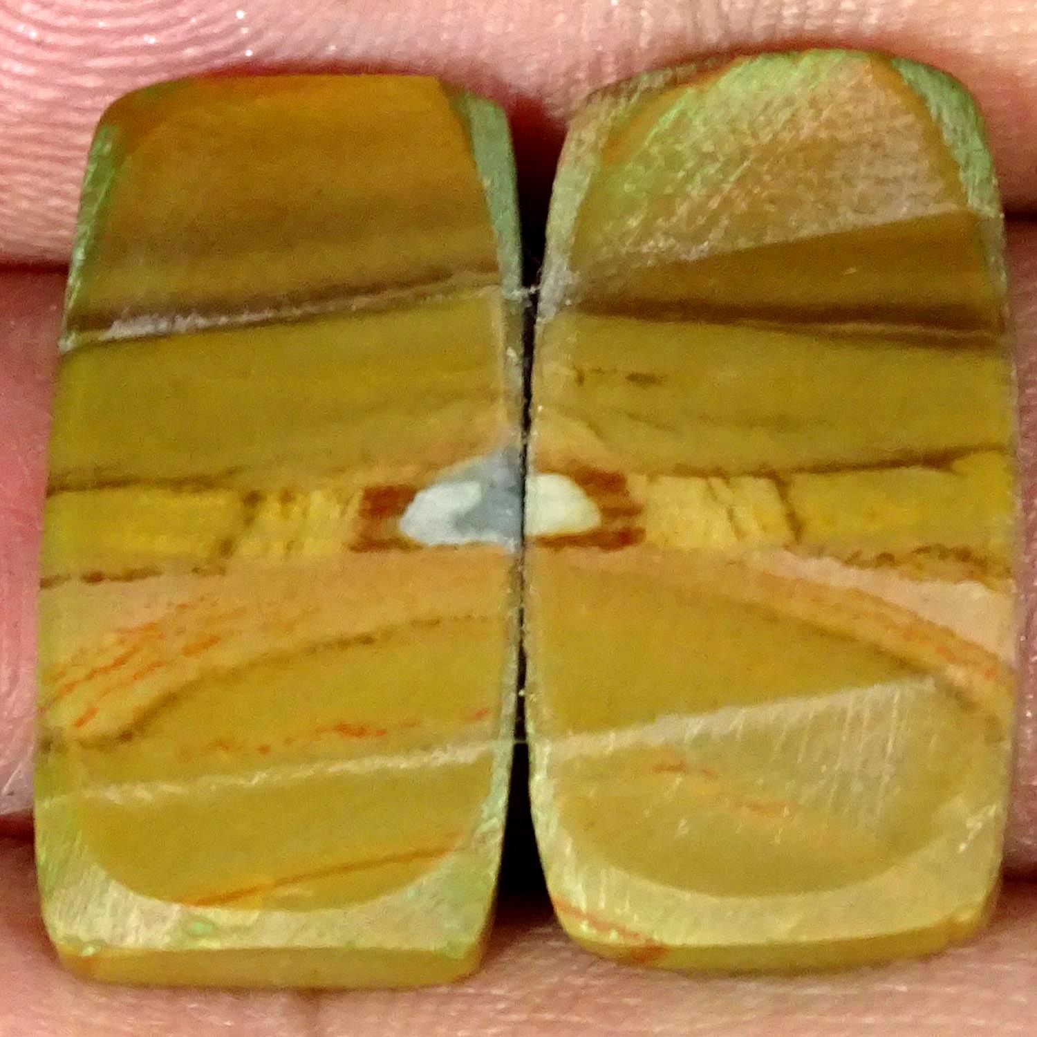 23.10Cts Natural Polygram Jasper Pair Cushion Cabochon Gemstone 12X23X4MM