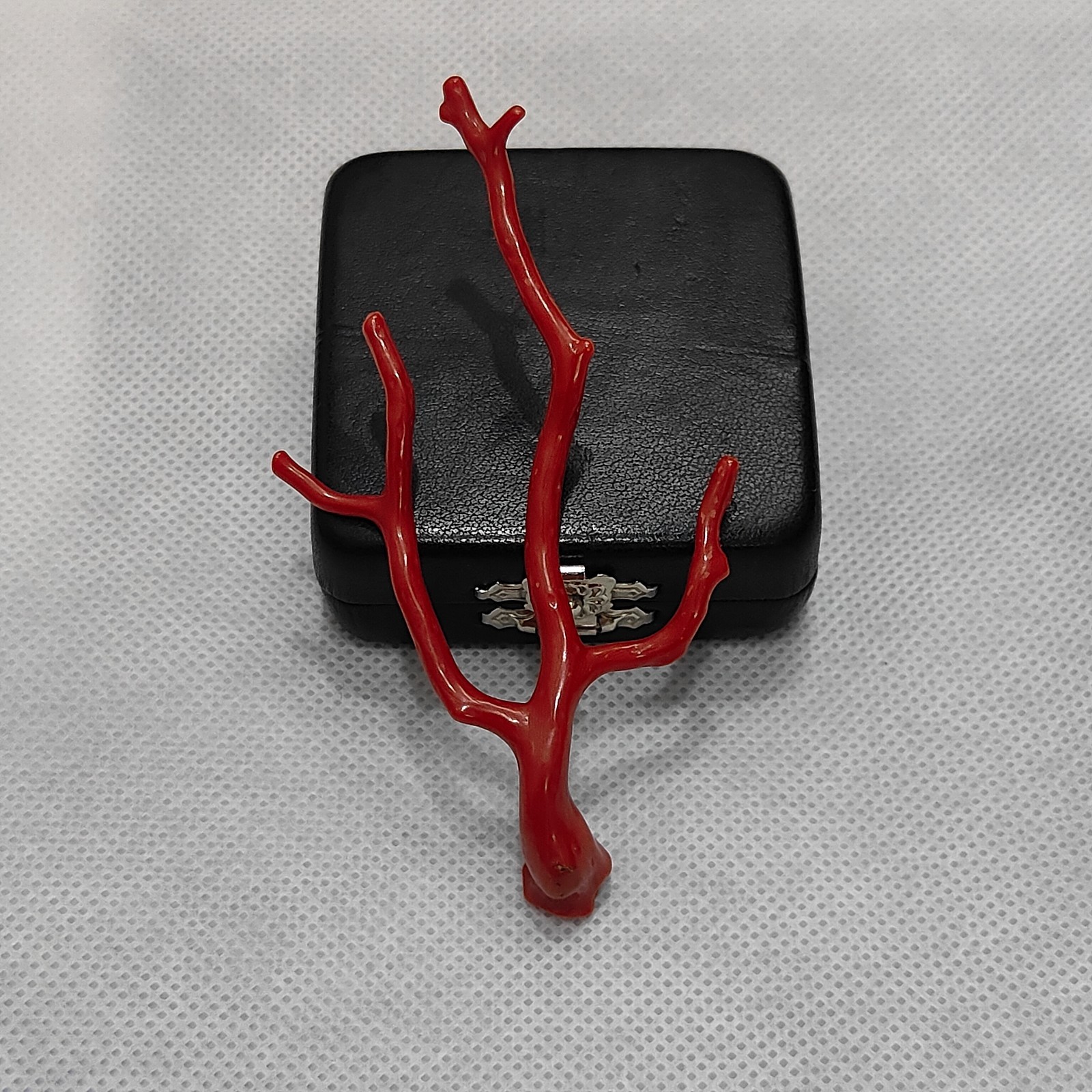 Top Quality Red Coral Tree Branch Gemstone-Mediterranean Red Coral Polish Branch