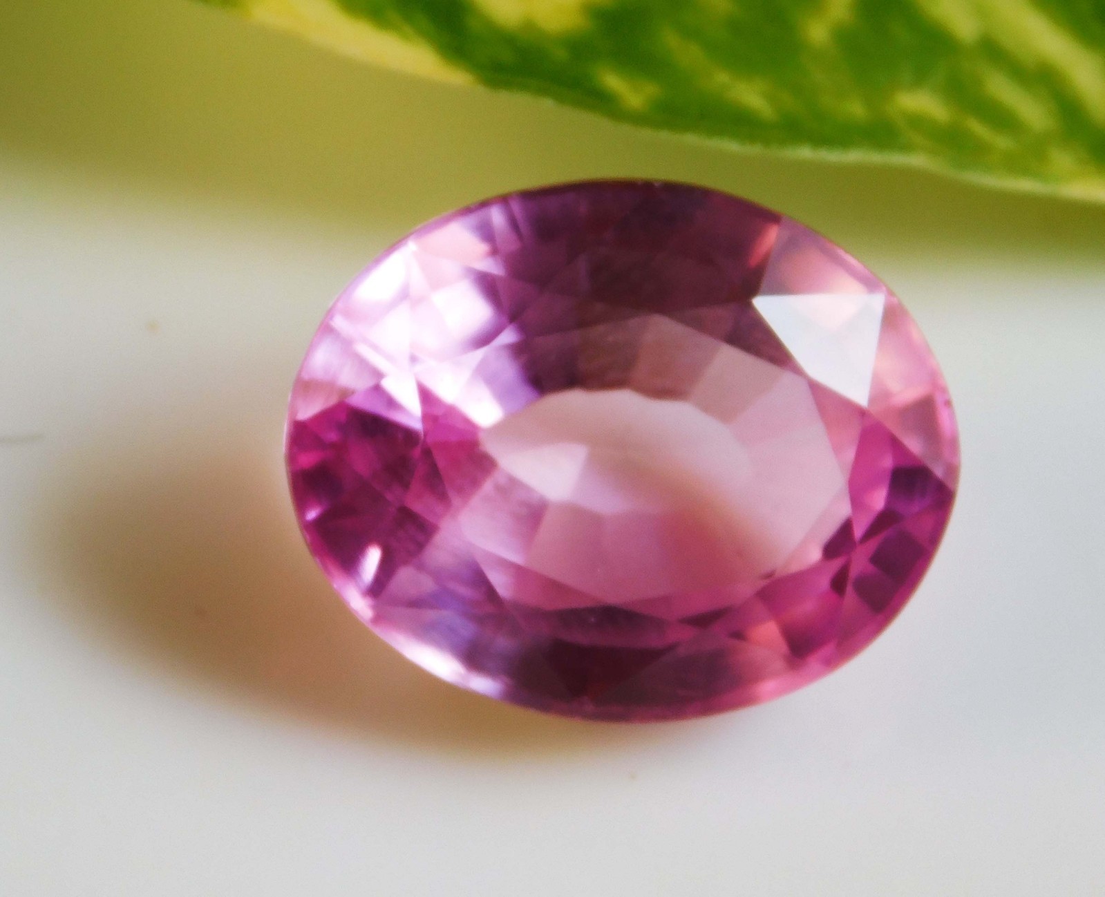 14.85Ct. Natural Translucent Afghani Oval Cut Pink Kunzite Loose Gemstone
