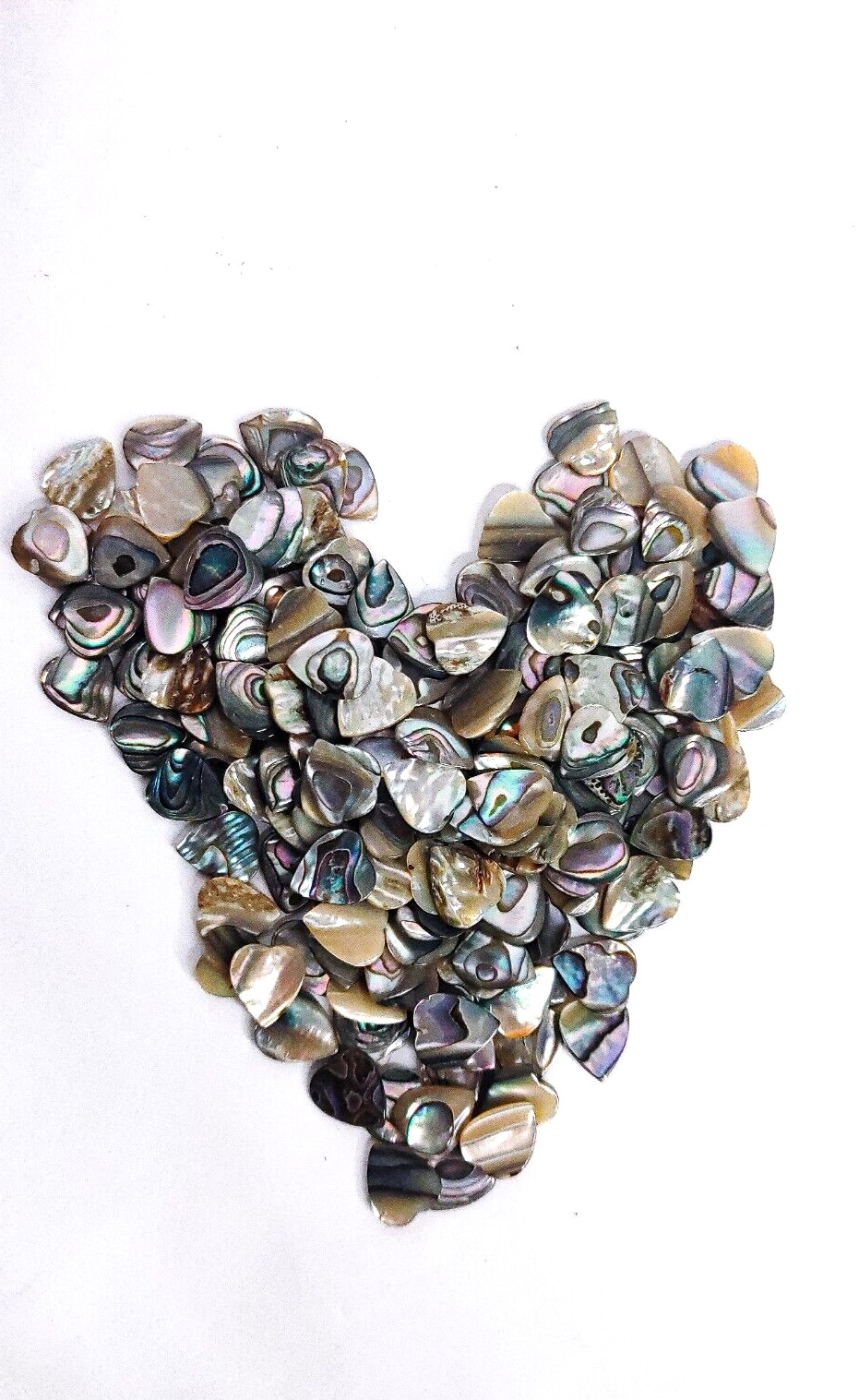18 Abalone Cabochon HEART Shells (10×9 mm) Seashell Iridescent Paua Gemstone