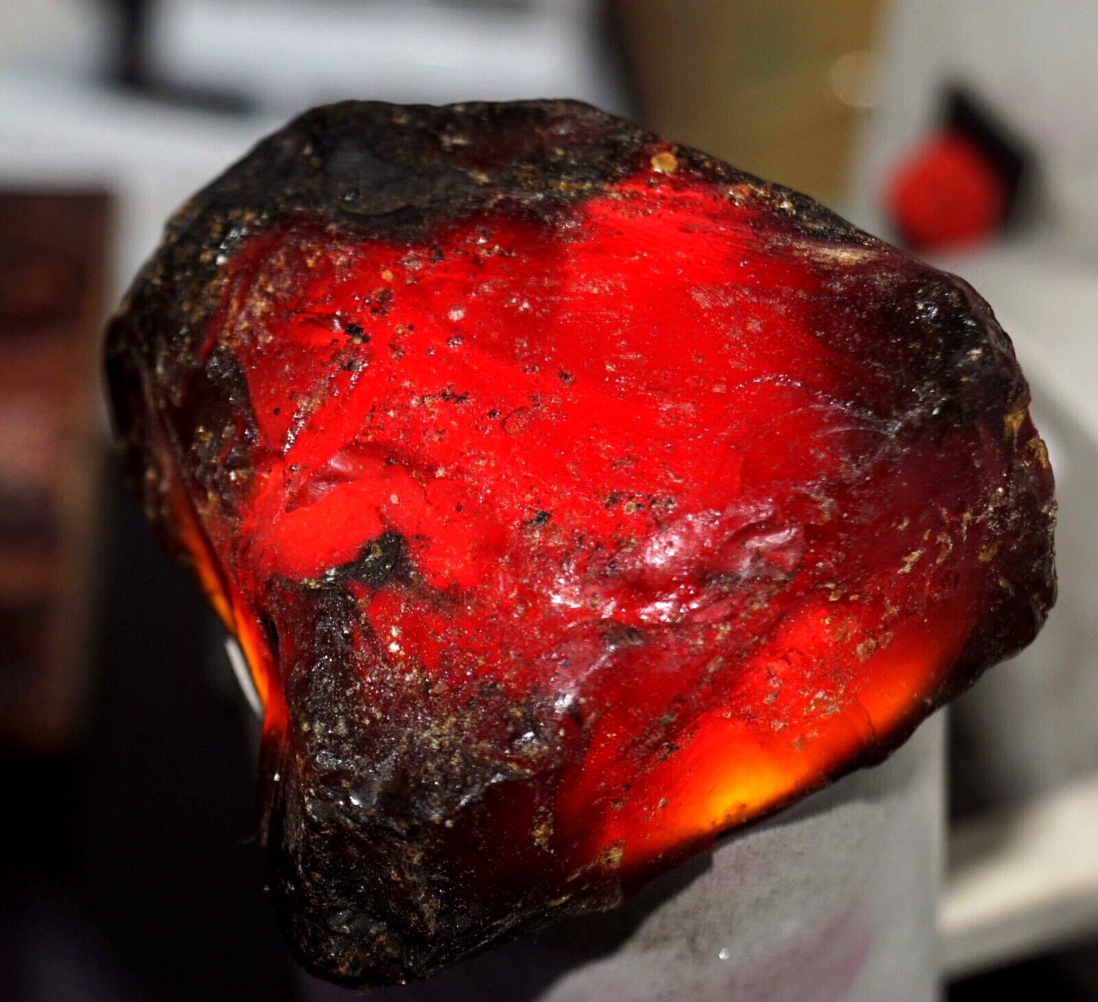 268.45 Ct Natural Honey Baltic Amber Untreated Specimen Certified Rough Gemstone