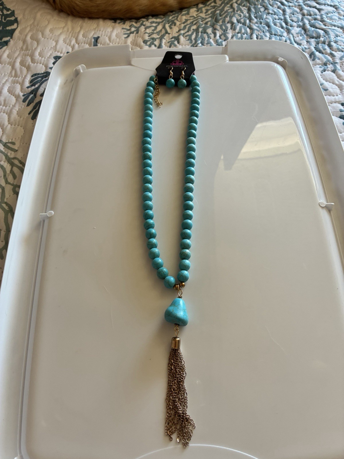 Paparazzi Jewelry Necklace and Earring Set