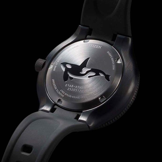 CITIZEN Watch PROMASTER Marine Series Eco-Drive Diver 200m Black BN0235-01E 5