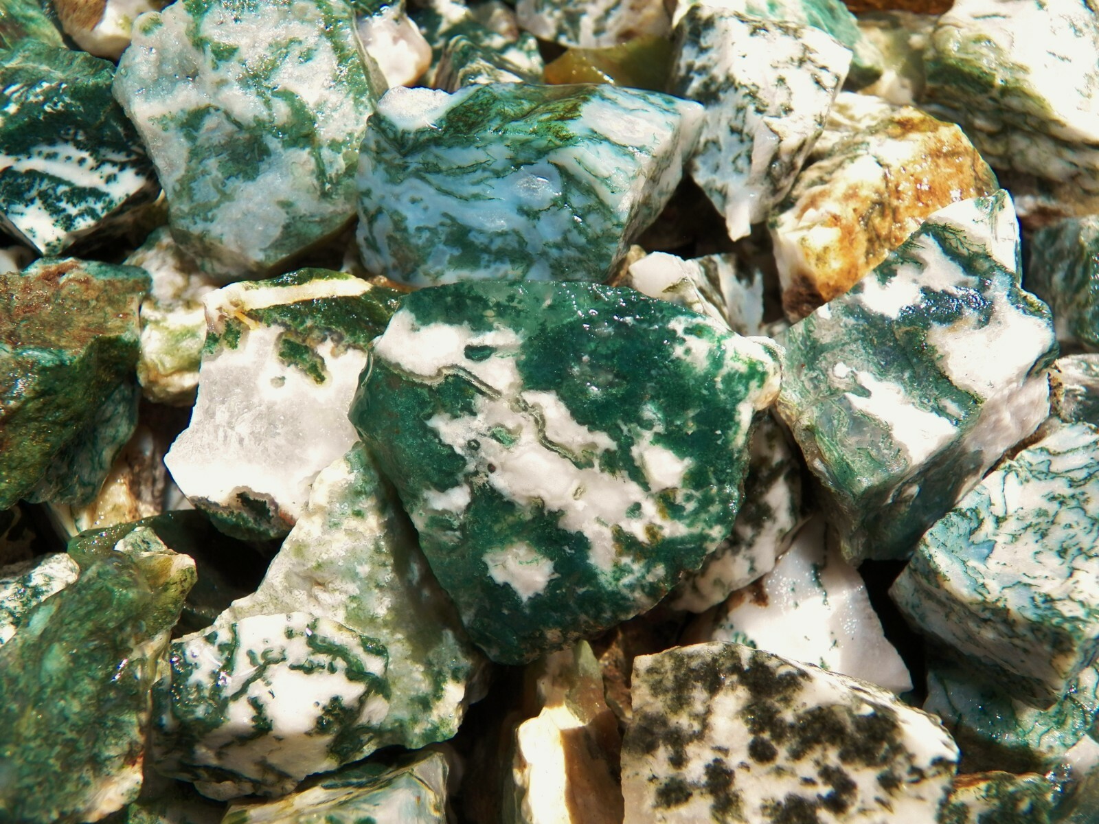 500 Carat Lot of Green Tree Agate Rough – Plus a FREE Faceted Gemstone