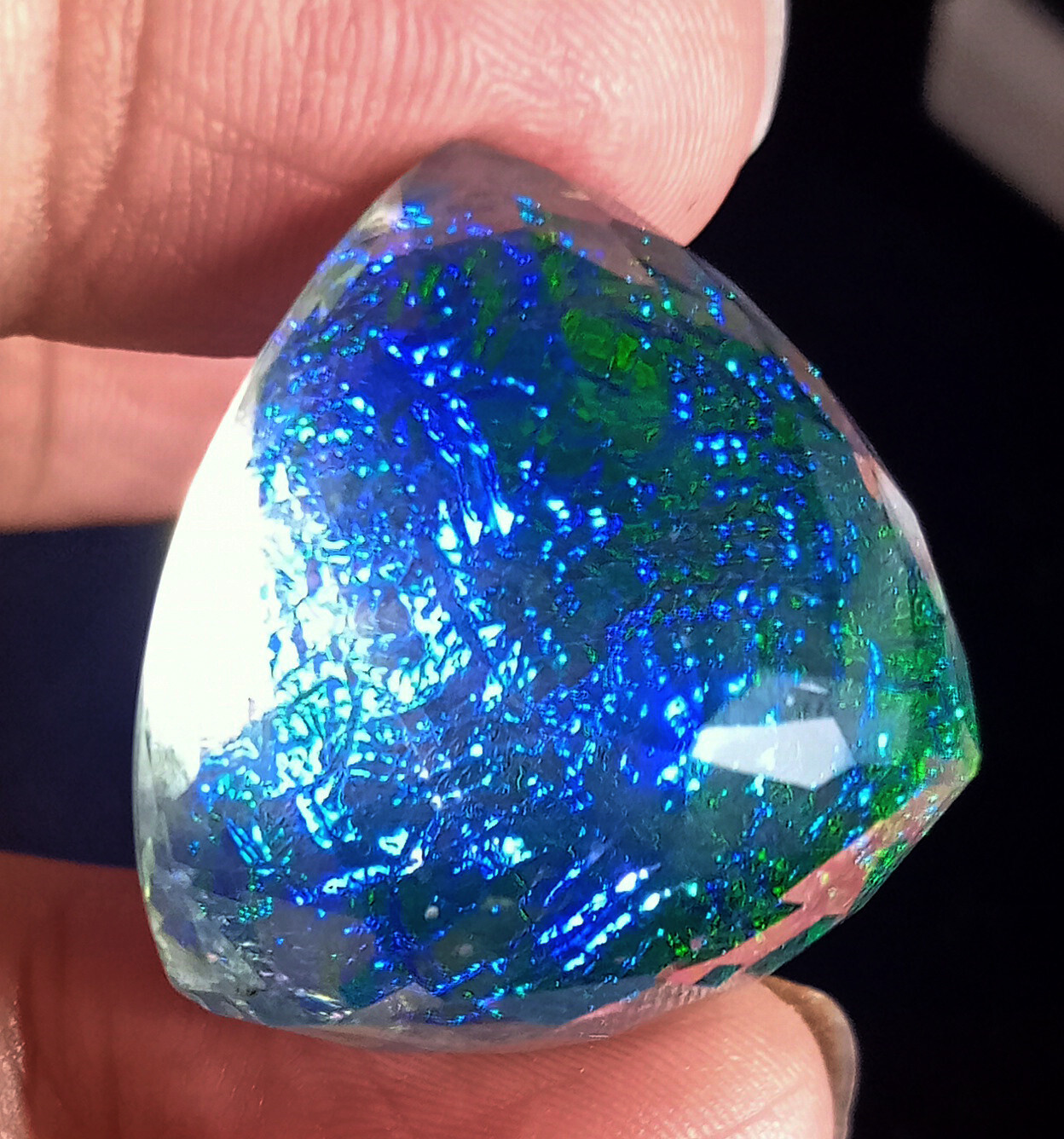 Natural Monarch Fire Opal Doublet Trillion Certified 58.55 Ct Loose Gemstone