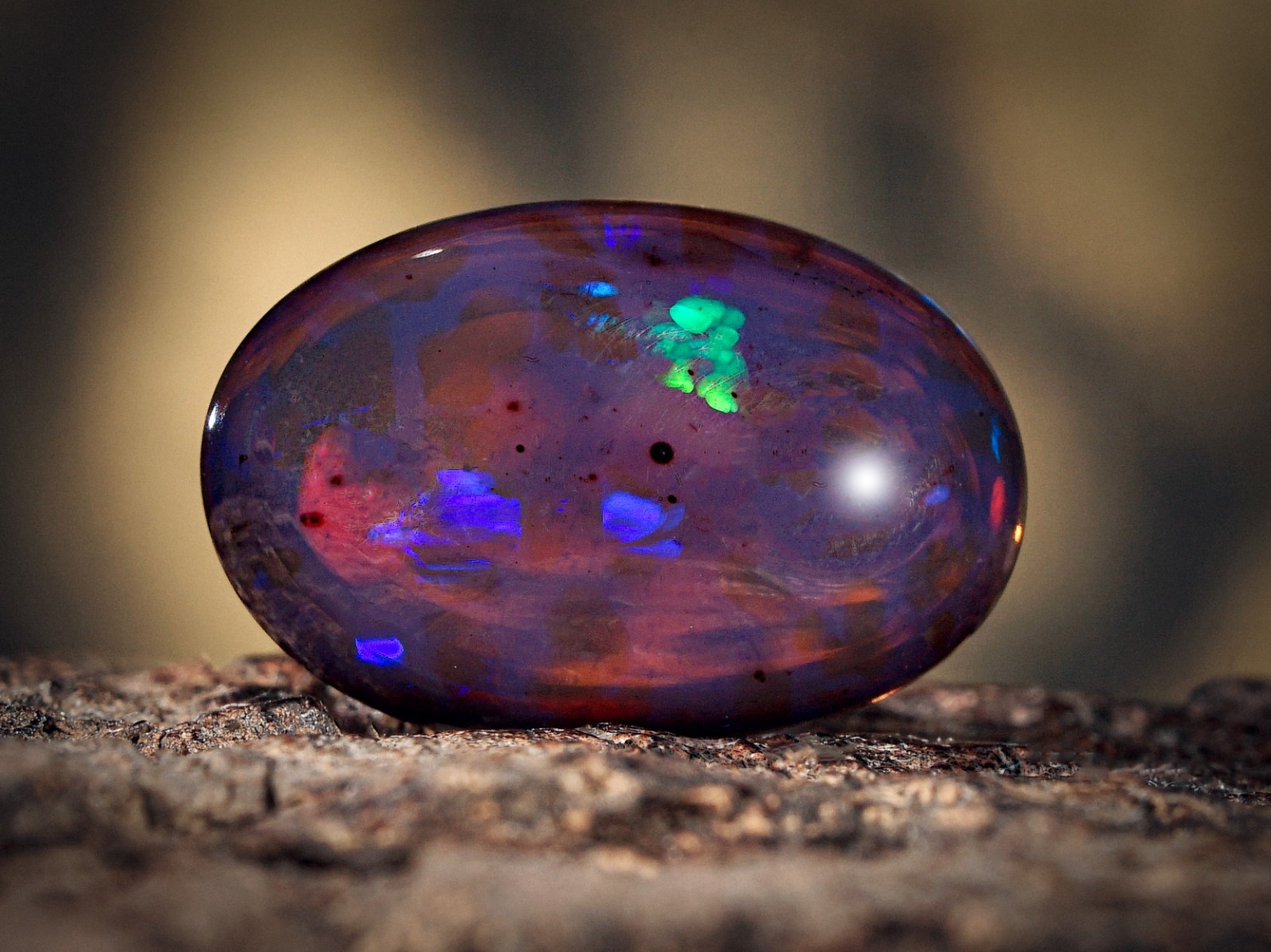 3.45 Ct Ethiopian Black Opal Oval Cabochon Honeycomb Fire Welo 15x10x4 mm