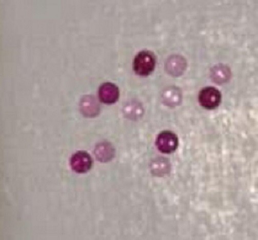 CAP JEWEL 12 Pieces 160 Diameter
