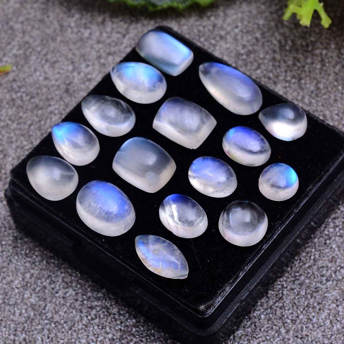 16 Pcs Natural Moonstone Blue Shine 6mm-12mm Smooth Mix Cabochon Loose Gemstones