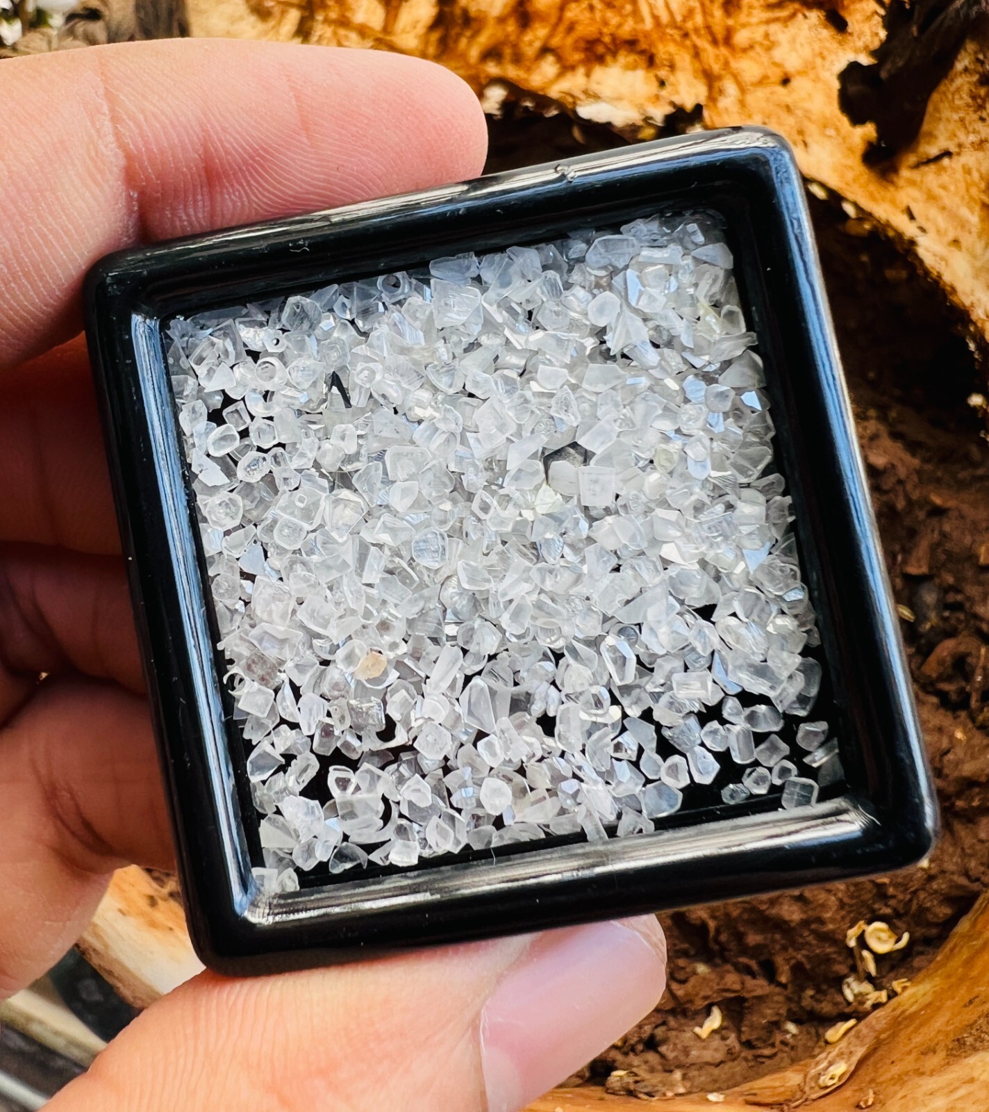 5.00 carat Natural Loose Diamond Lot Tiny Slice Raw Rough White Diamonds Box