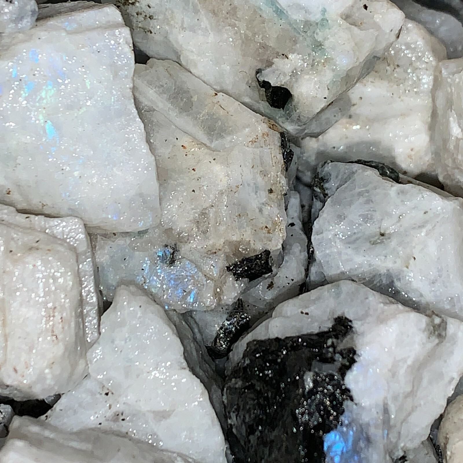 1000 Carat Lots of Natural Rainbow Moonstone Rough + a Nice FREE faceted Gems