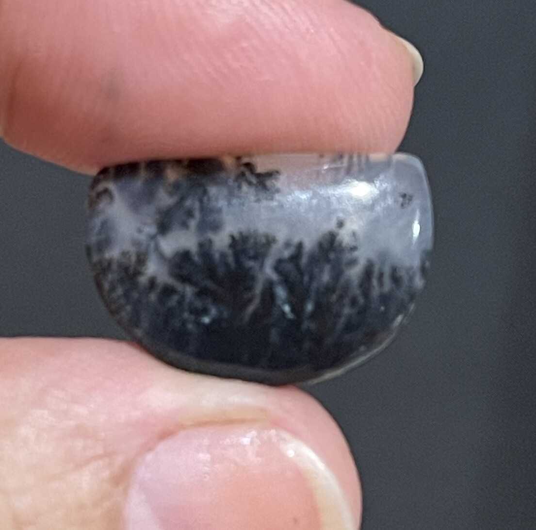 7ct 19.3x13x4mm Fine Dendritic Agate Smooth Cabochon Loose Picture Stone