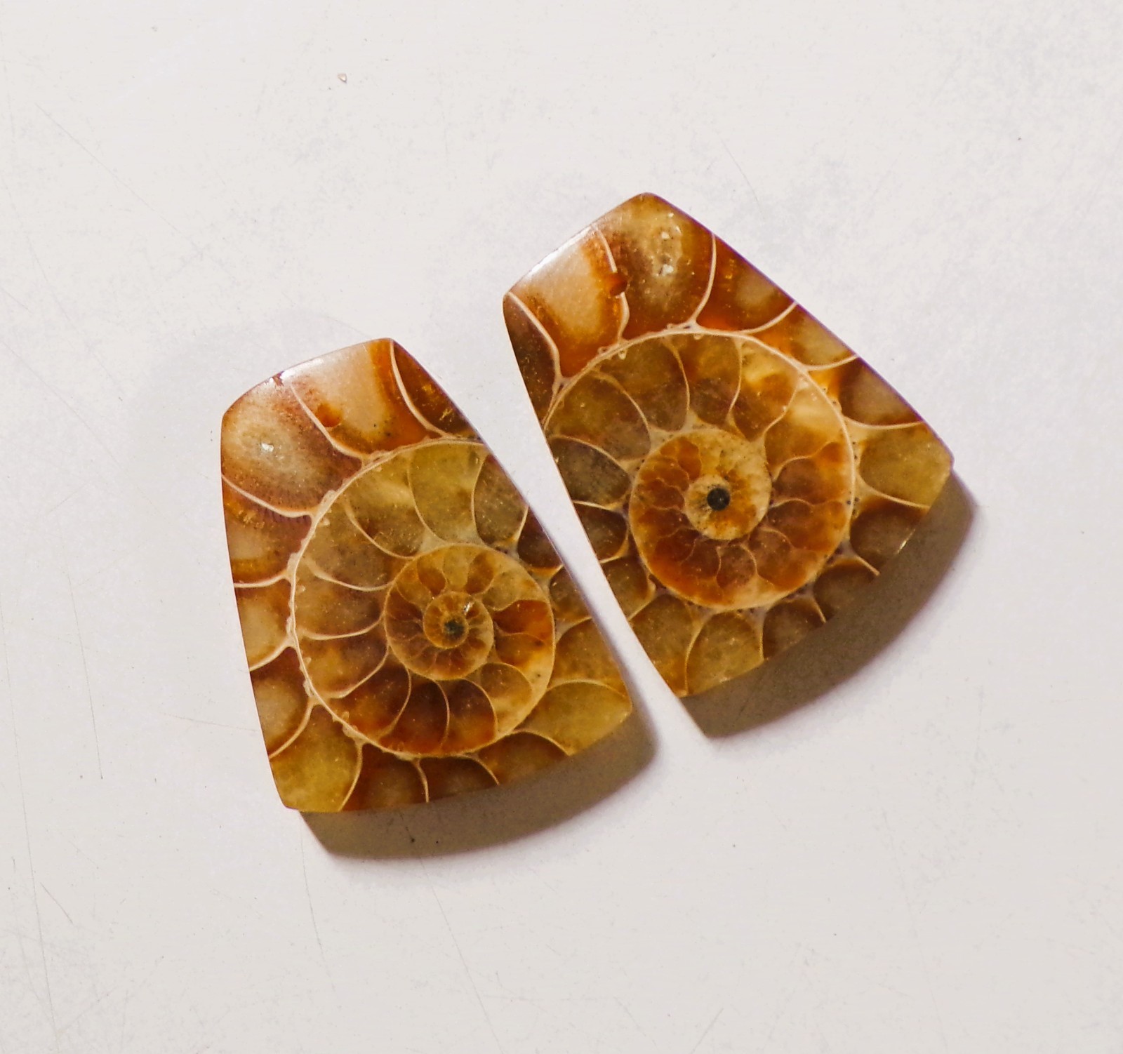 61.50 Cts Natural Ammonite Drilled Cabochon Match Pair Gemstone 28X22MM 164