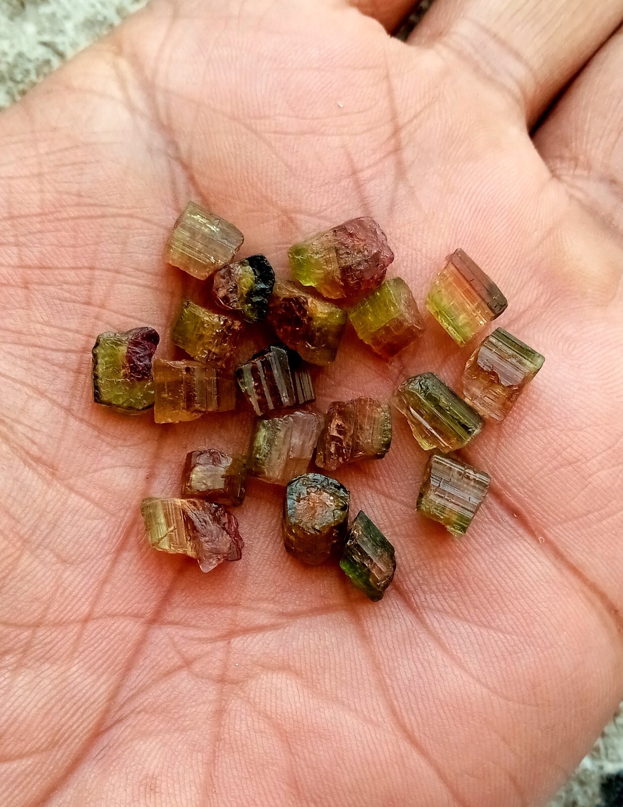 39 Carat Natural Watermelon Bi-Unique Amazing Color Tourmaline Rough 19 Pcs Lot