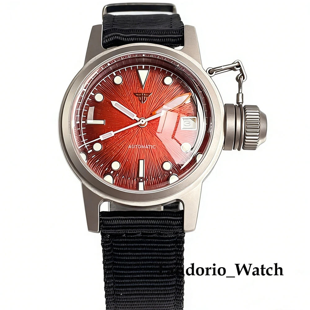 Tandorio 36mm Domed Sapphire Glass Asia 2824/Miyota 8215 Men’s Mechanical Watch