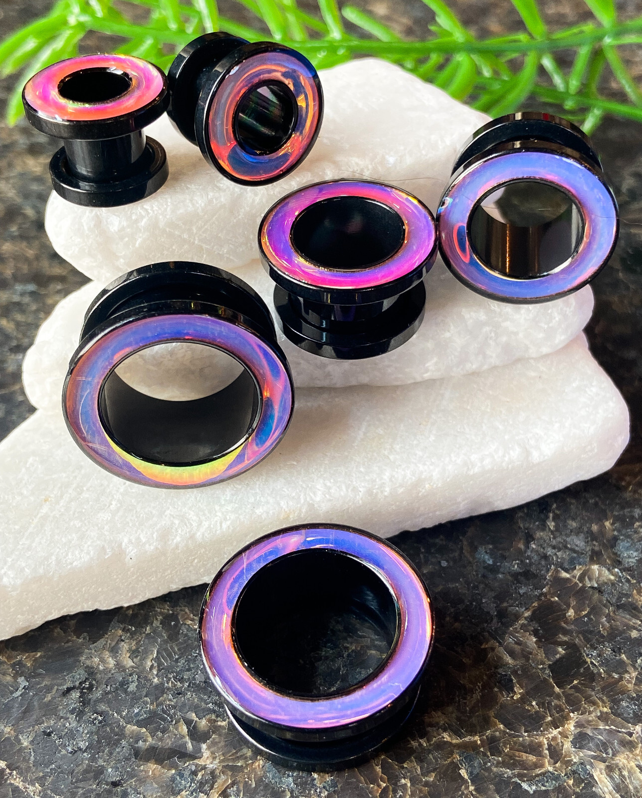 PAIR Rainbow Iridescent Rimmed Black Screw Fit Tunnels Earlets Gauges Plugs