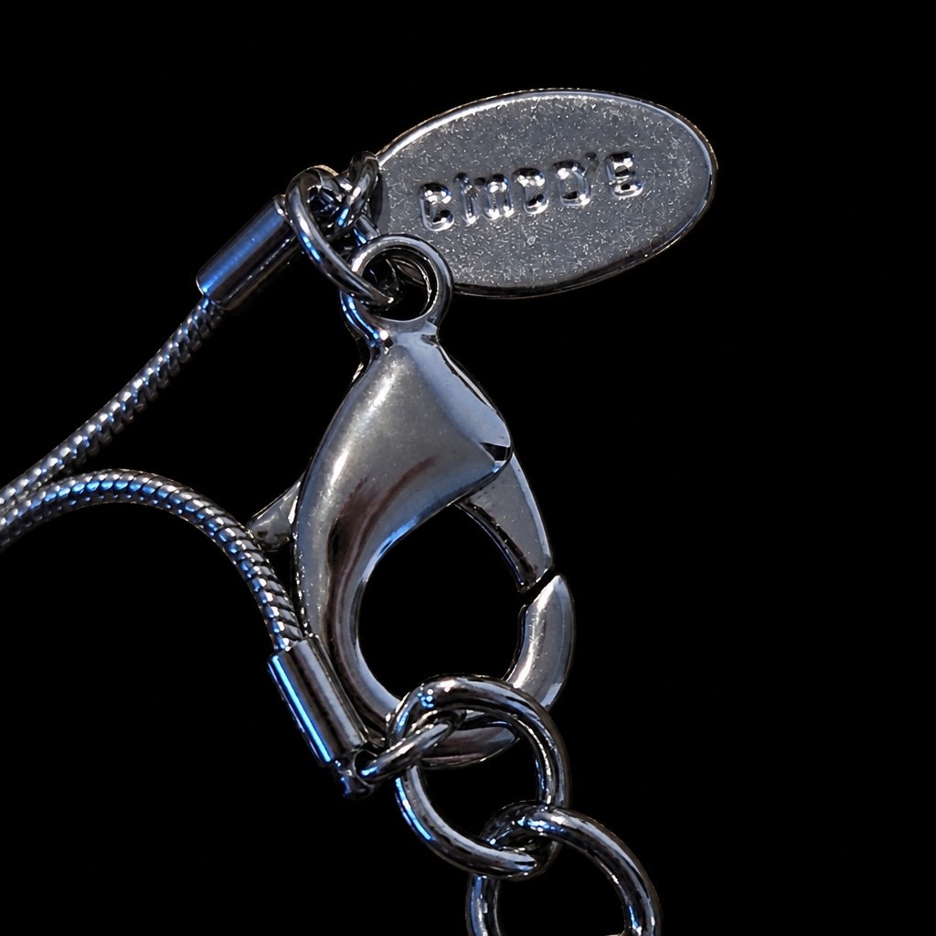 Chico’s silver tone long station necklace tortoise she’ll resin pendant