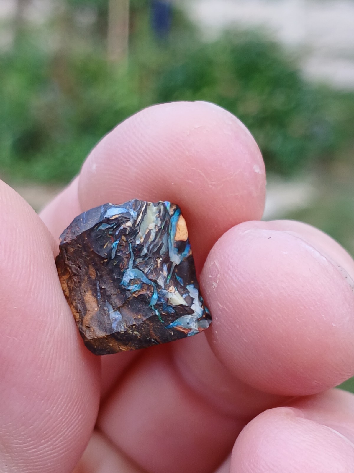 Australia Boulder Opal Koroit R313 Specimen 11 Carat Blue Green