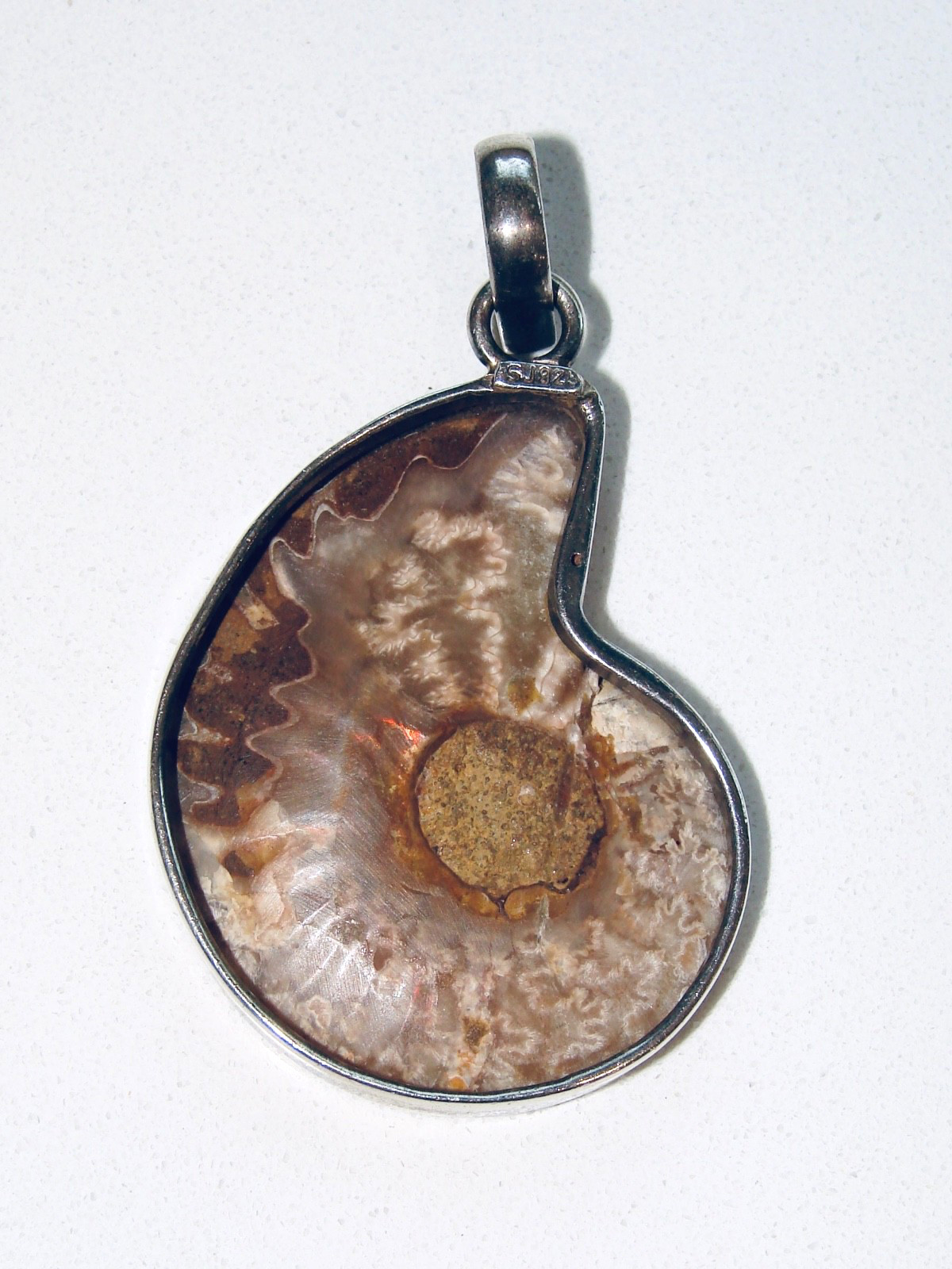 SAJEN 925 STERLING SILVER 925 AMMONITE BROWN SHELL FOSSIL 2.25” PENDANT SJ