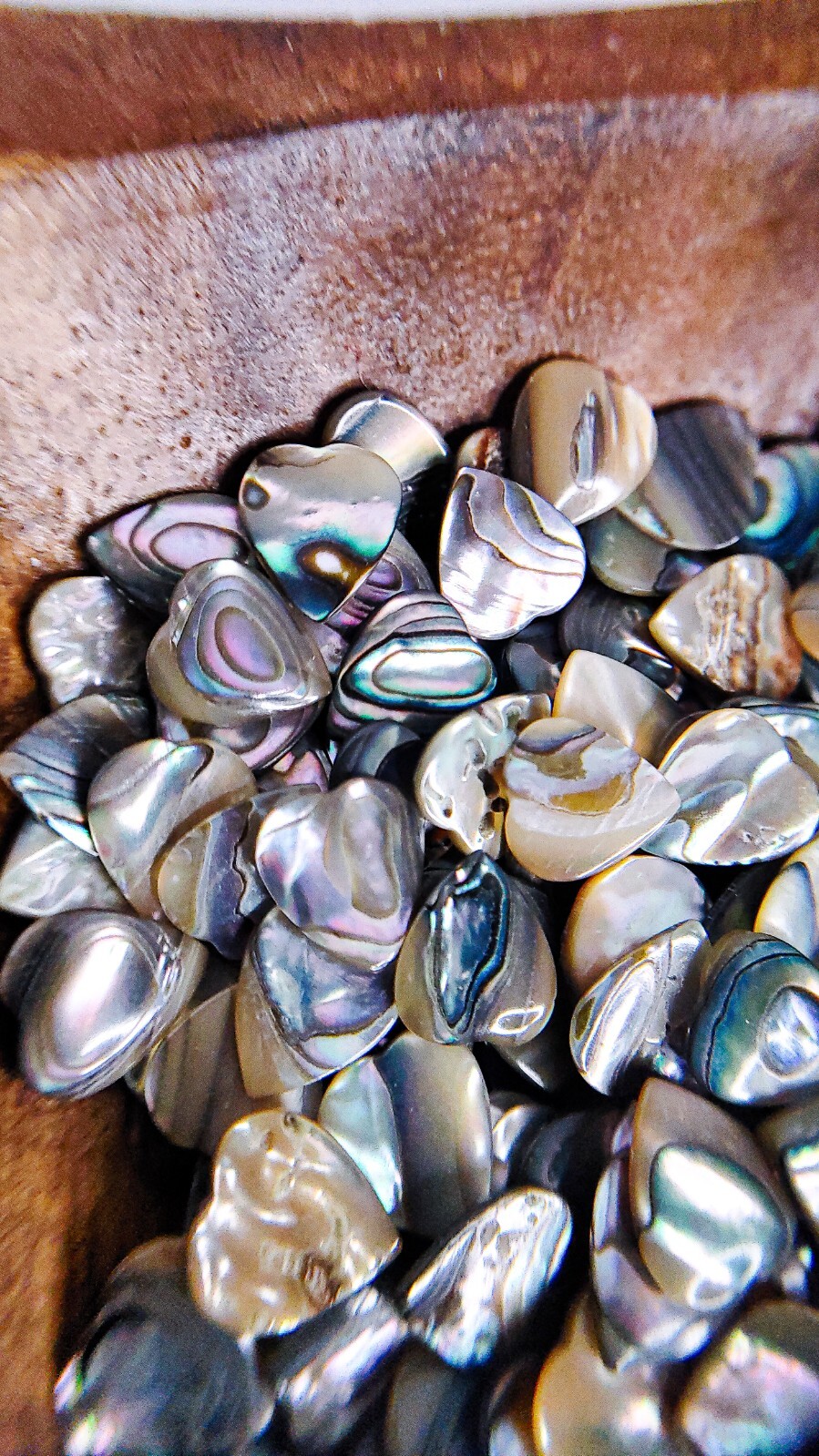 18 Abalone Cabochon HEART Shells (10×9 mm) Seashell Iridescent Paua Gemstone