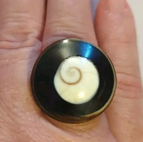 Unique Chunky Black White Brown Spiral Seashell Ring Size 6-61/2