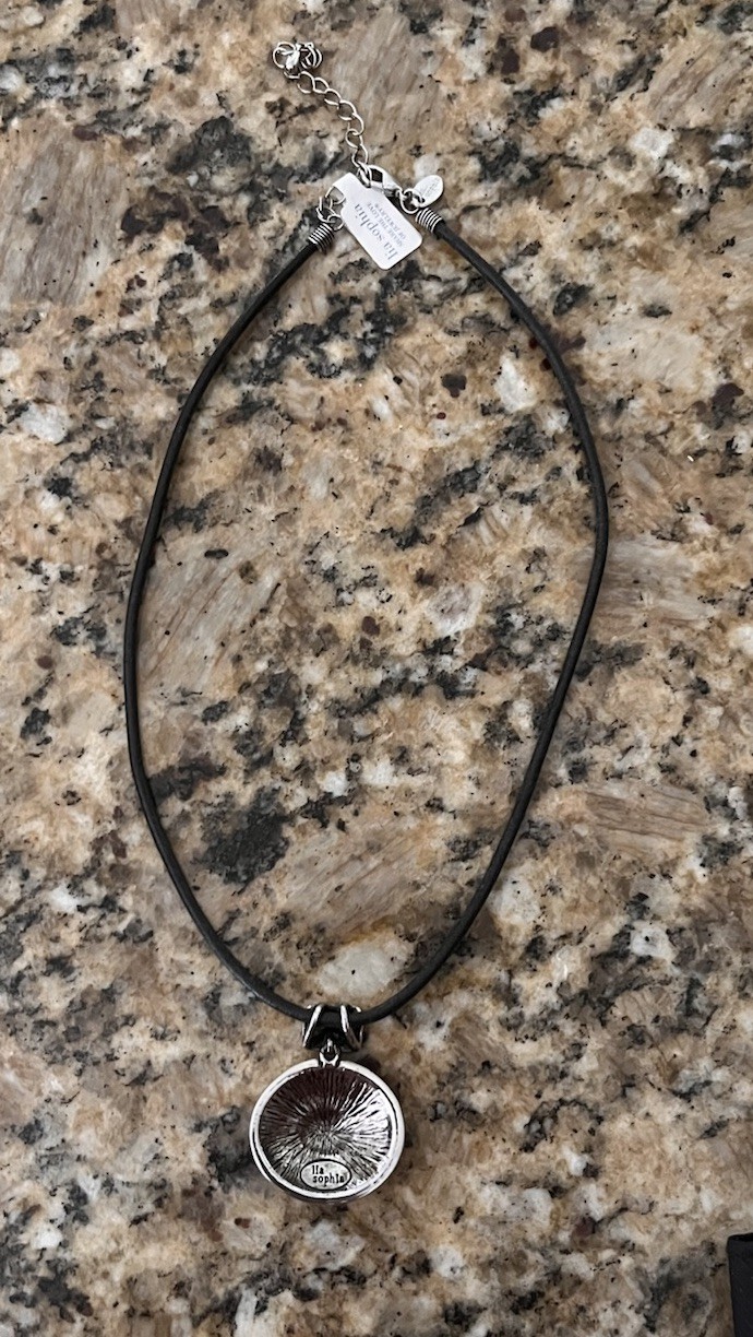 Lia Sofia Regatta Deep Blue Silver Enamel Leather Cord Pendant Necklace NWT