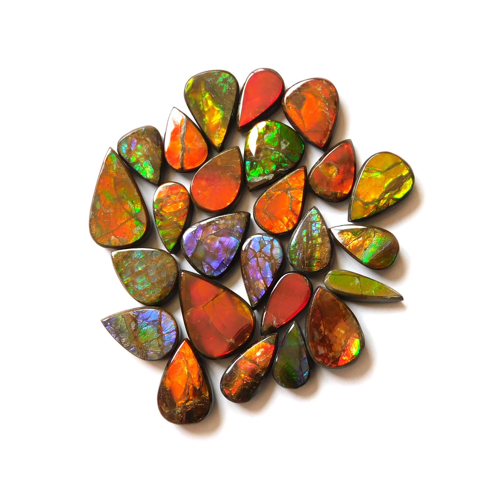 113.65 Cts Natural Ammolite 25 Pcs Lot Loose Cabochon Gemstone CN04