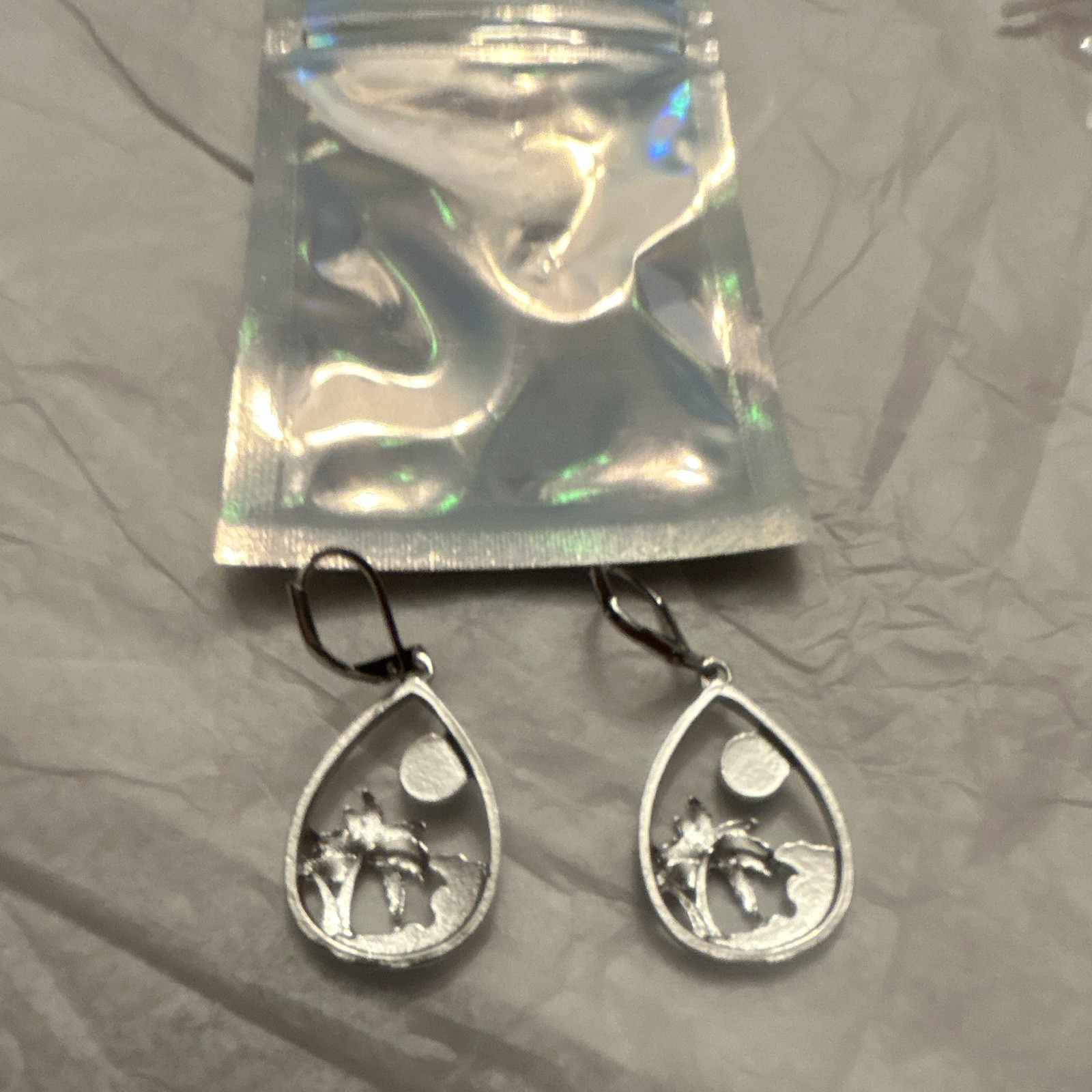 Silver Tone Teardrop Dangle Drop Hook Earrings Blue Accent Nature Theme