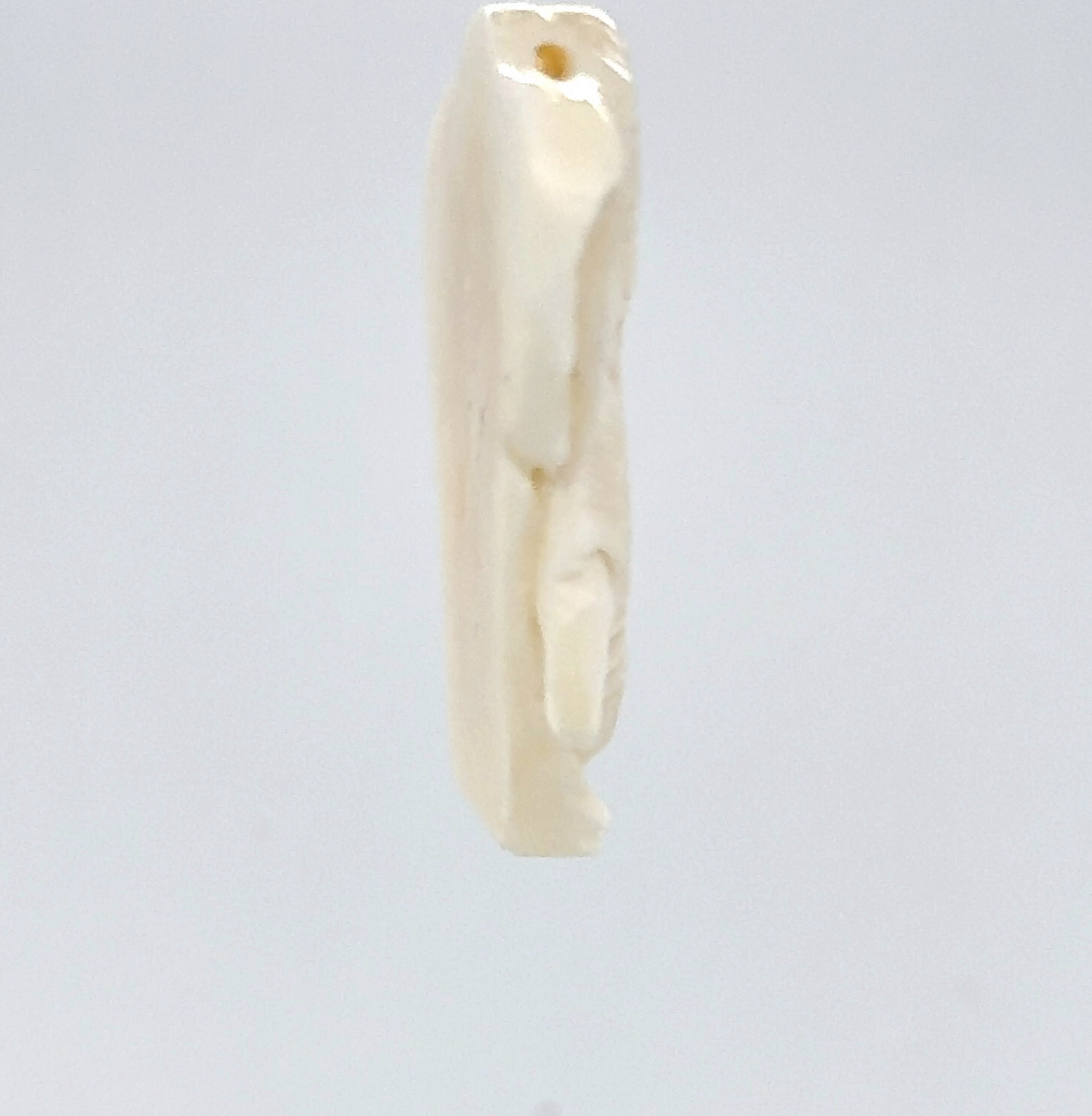 Hand Carved Water Buffalo Bone Elephant Pendant