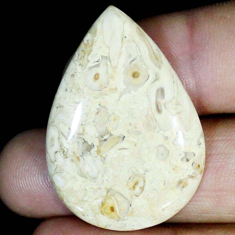 46.90 CT Natural Petrified Wood Agate PEAR Cabochon , Petrified stone 30x42x5 mm