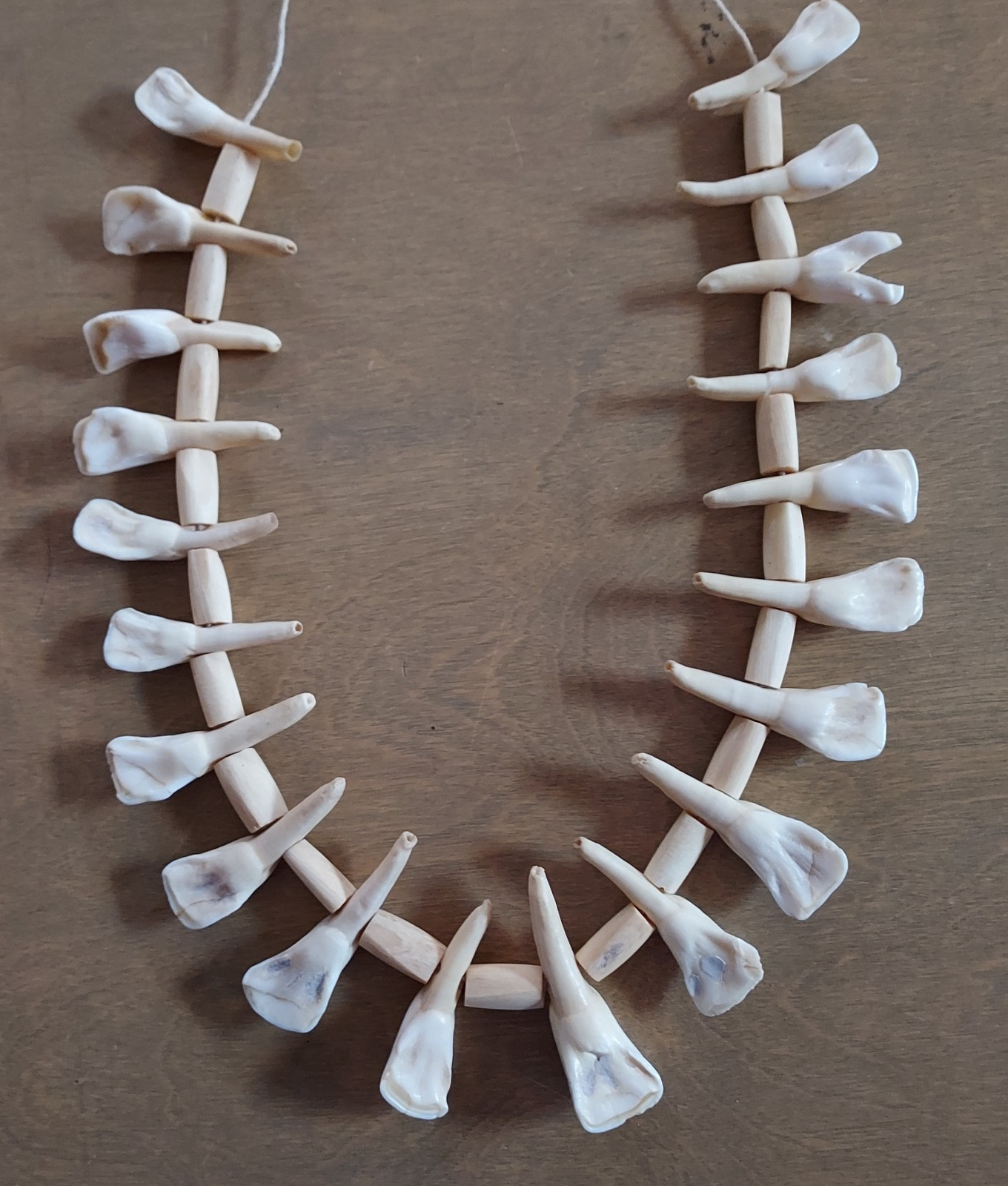 REAL Natural Vintage Tribal Ethnic Necklace Tooth / 20 TEETH + Animal BONES