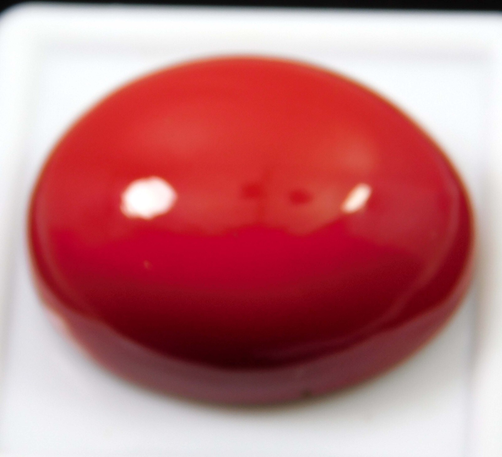 34.45 Ct Natural Italian Red Coral Oval Cabochon Cut Loose Gemstone